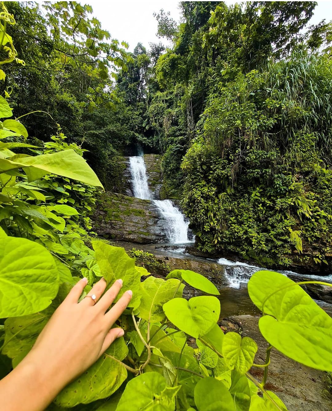 0 bed Land For Sale in Dominical, Puntarenas - thumb 4