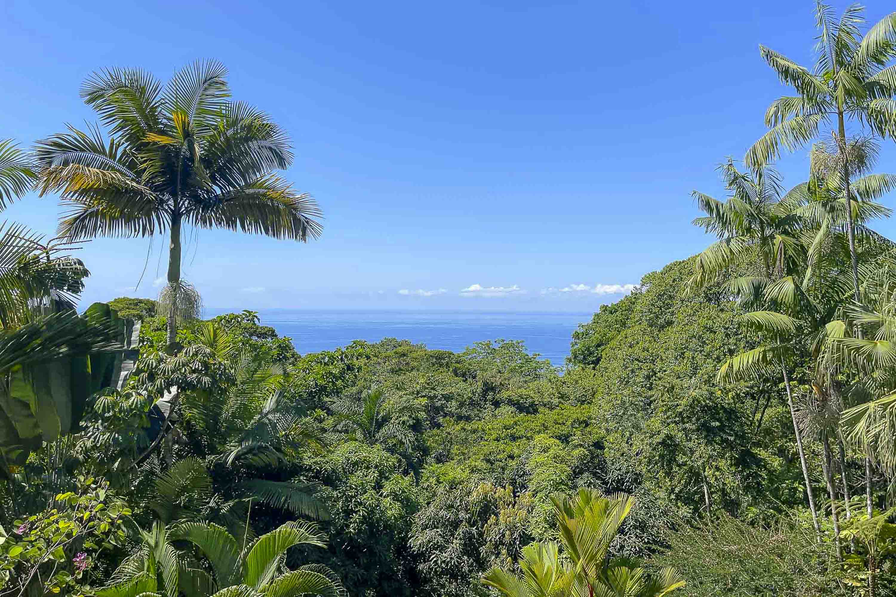 6 bed Single Family Homes For Sale in Dominical, Puntarenas - thumb 20