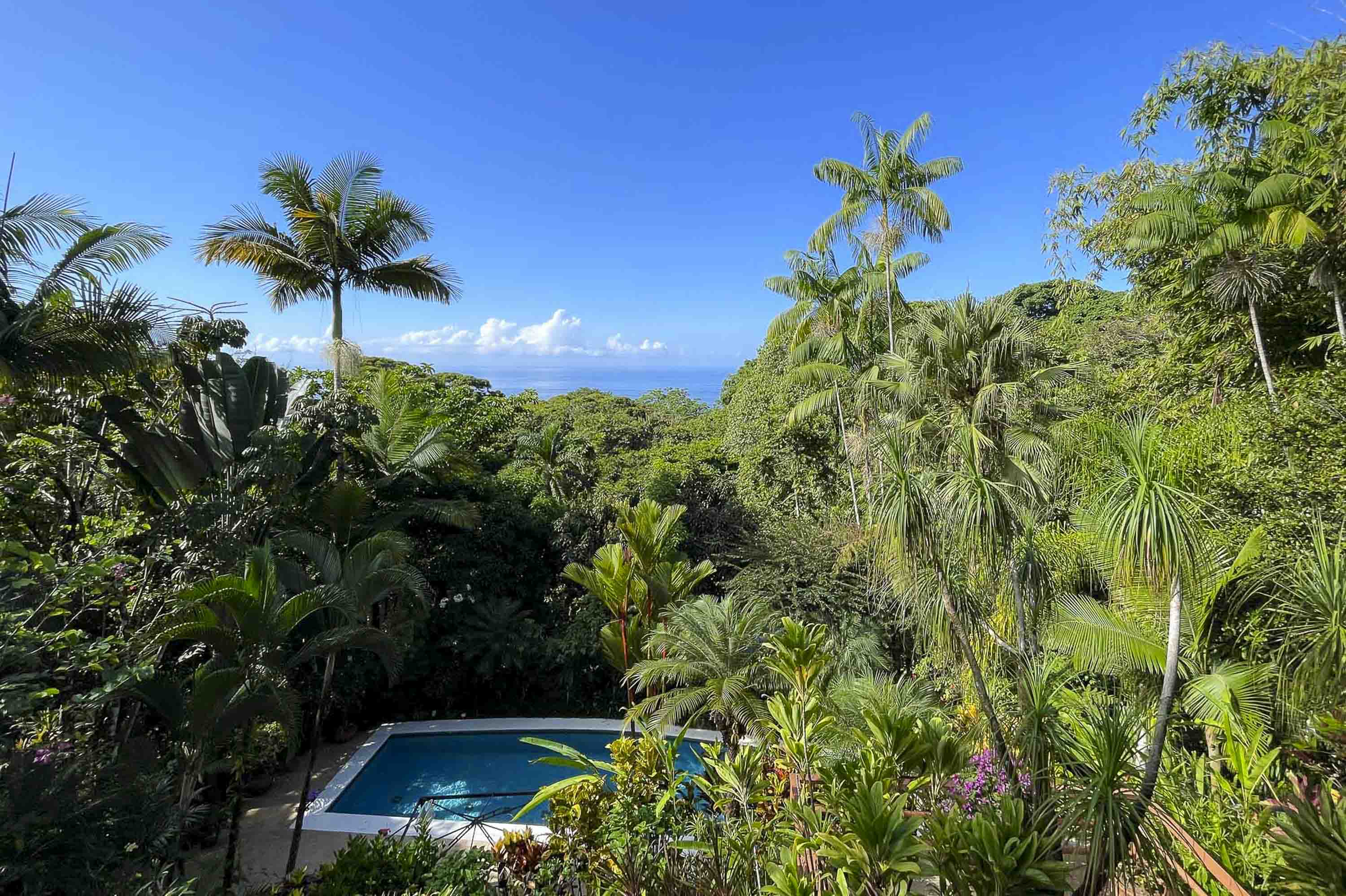 6 bed Single Family Homes For Sale in Dominical, Puntarenas - thumb 21