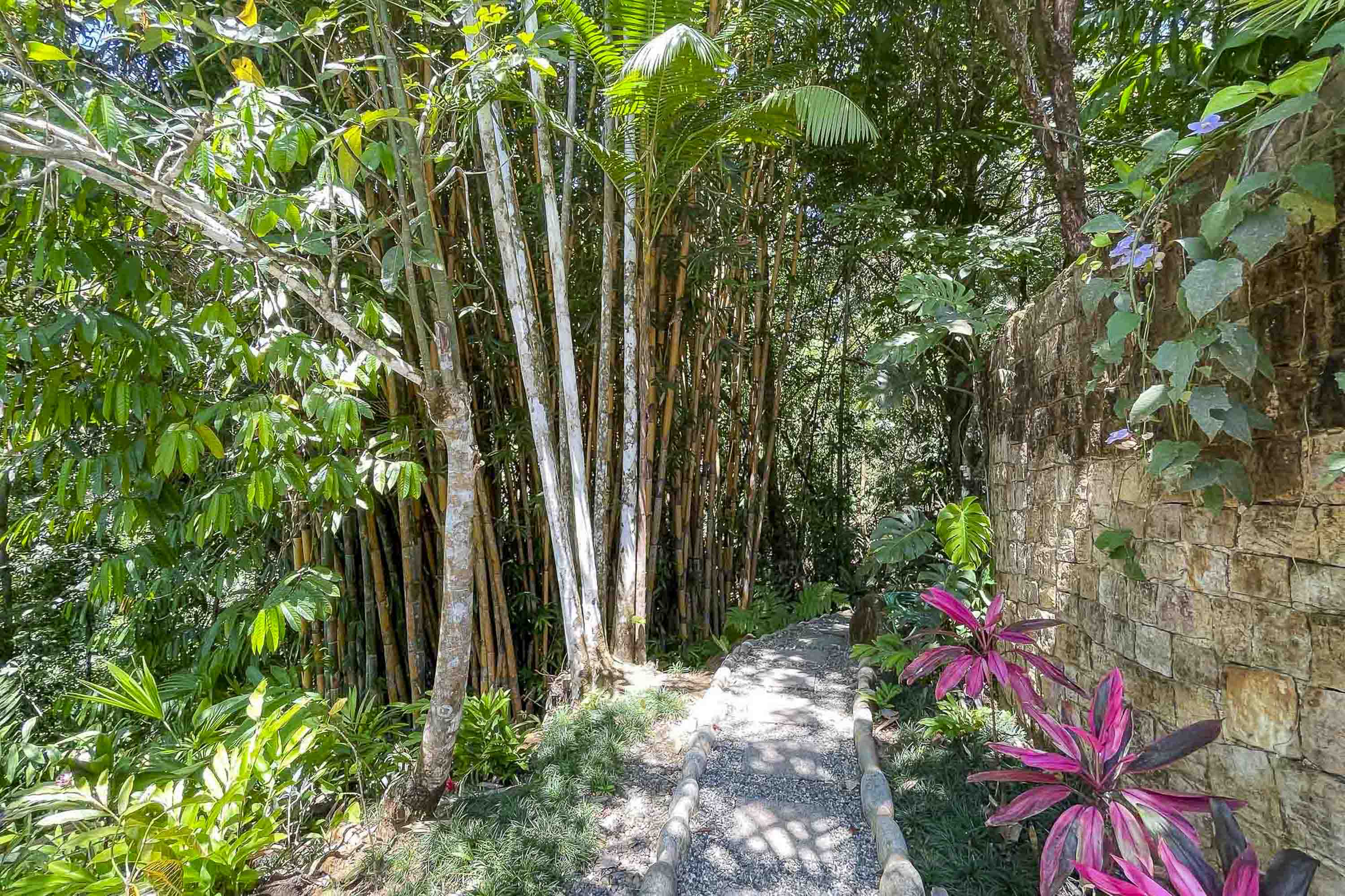 6 bed Single Family Homes For Sale in Dominical, Puntarenas - thumb 24