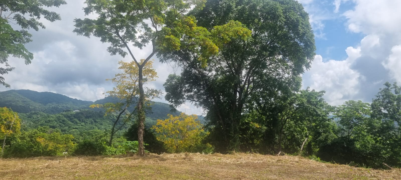 0 bed Land For Sale in Samara, Guanacaste - thumb 11