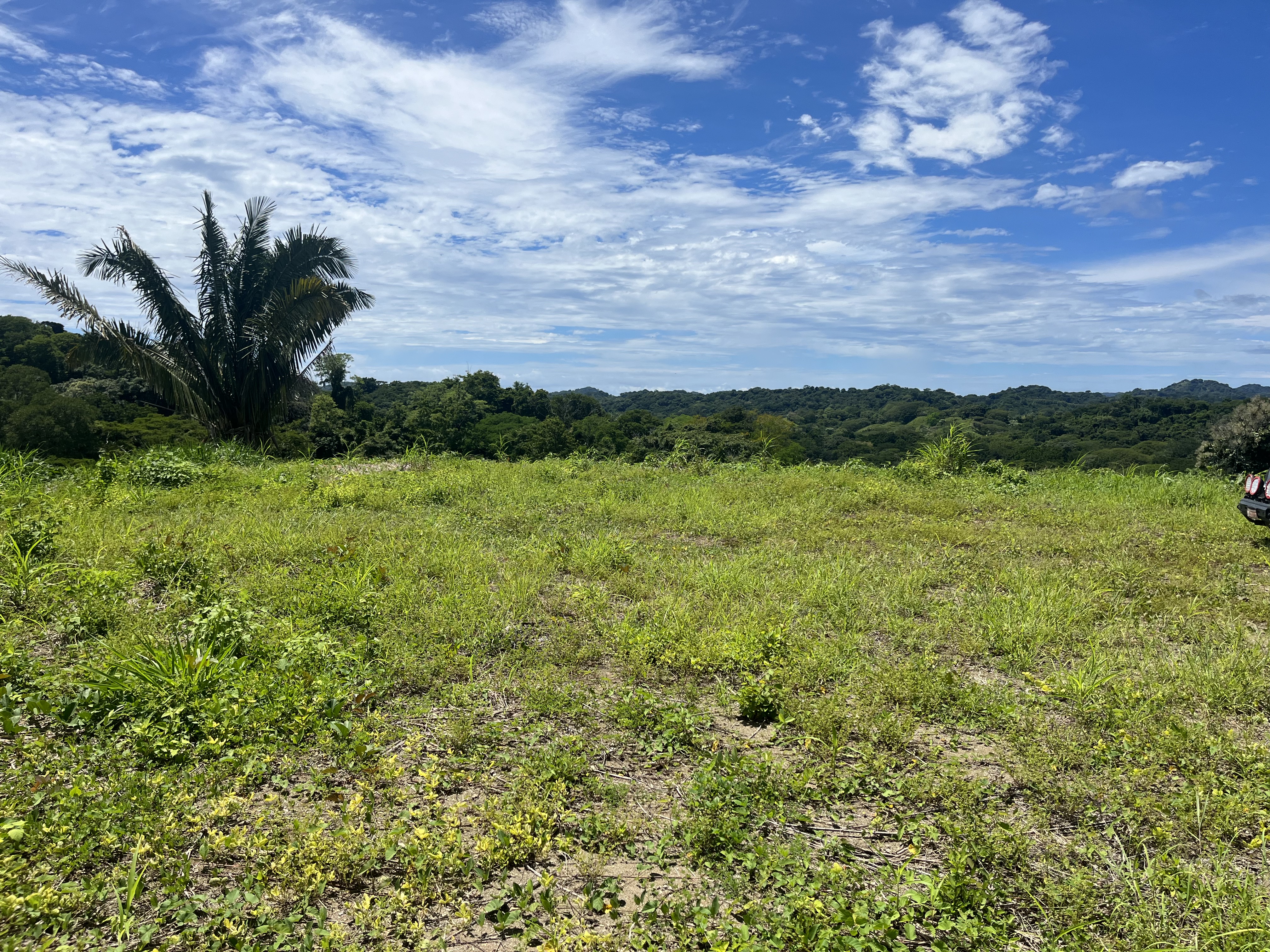0 bed Land For Sale in Samara, Guanacaste - thumb 4