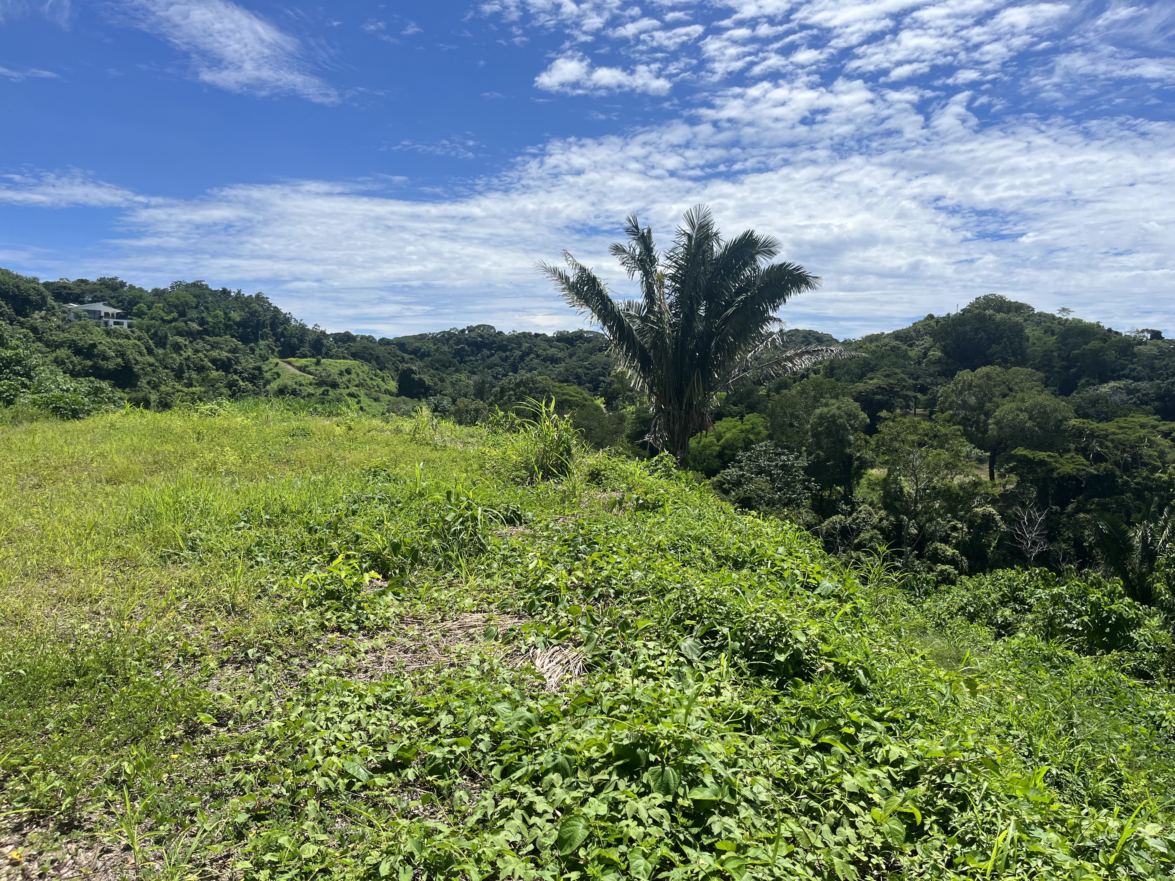 0 bed Land For Sale in Samara, Guanacaste - thumb 8