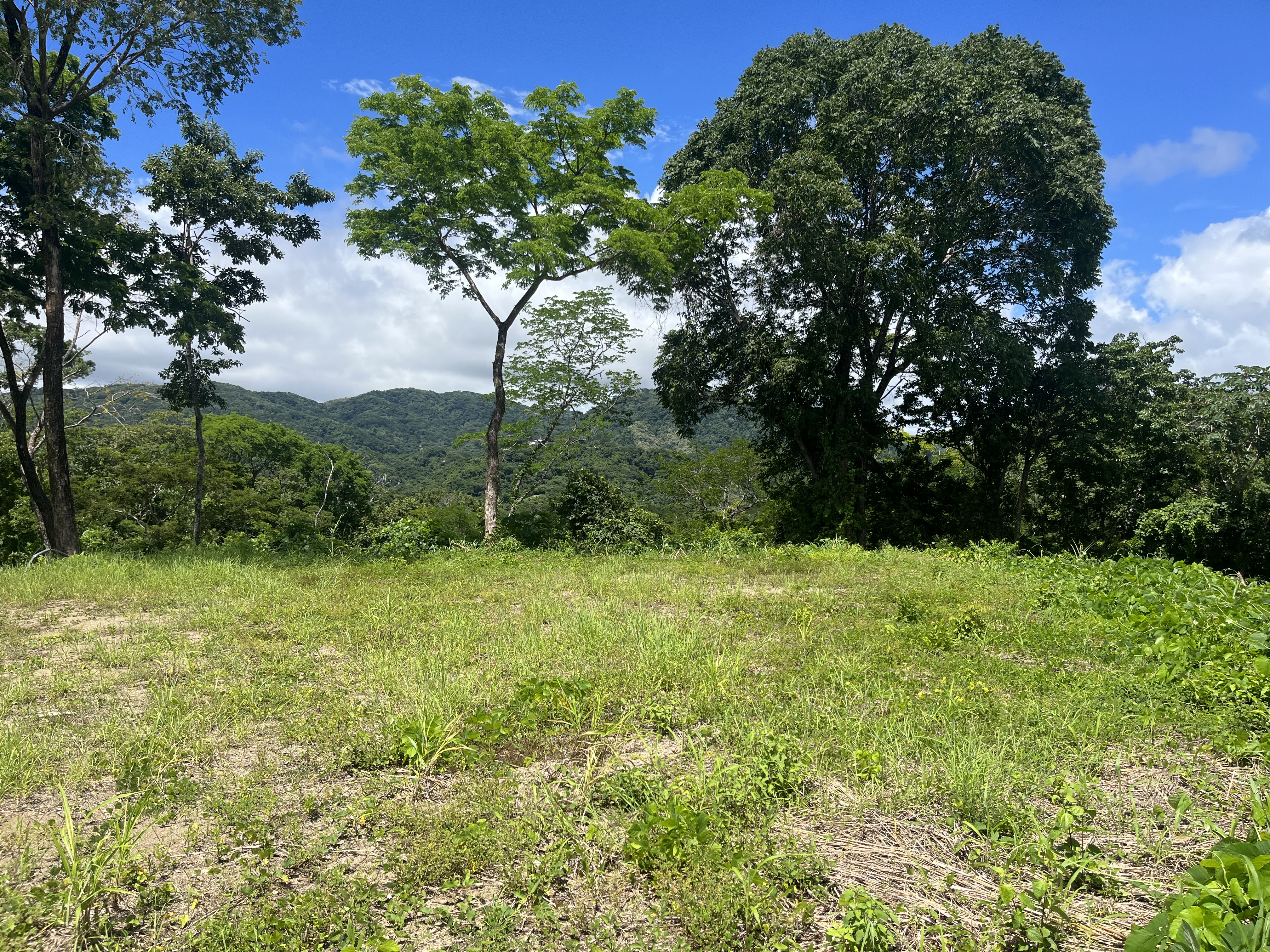 0 bed Land For Sale in Samara, Guanacaste - thumb 3