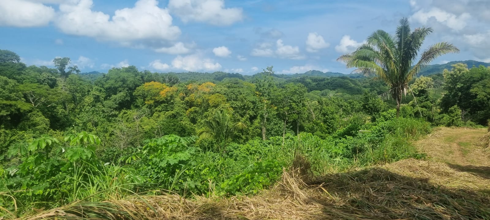 0 bed Land For Sale in Samara, Guanacaste - thumb 9