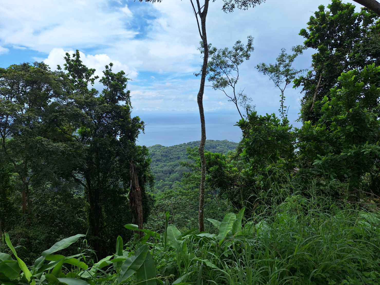0 bed Land For Sale in Tarcoles, Puntarenas - thumb 5
