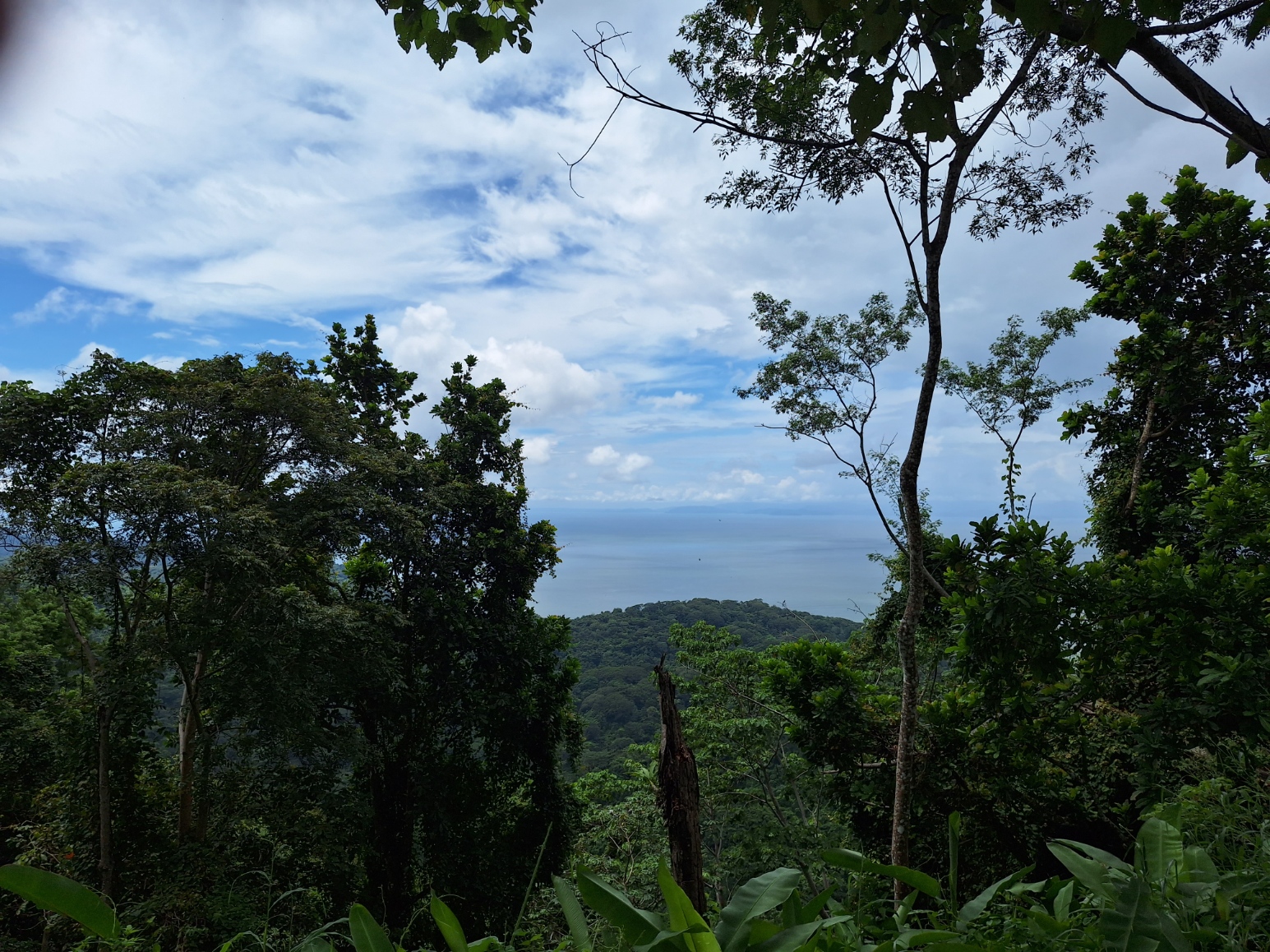 0 bed Land For Sale in Tarcoles, Puntarenas - thumb 6
