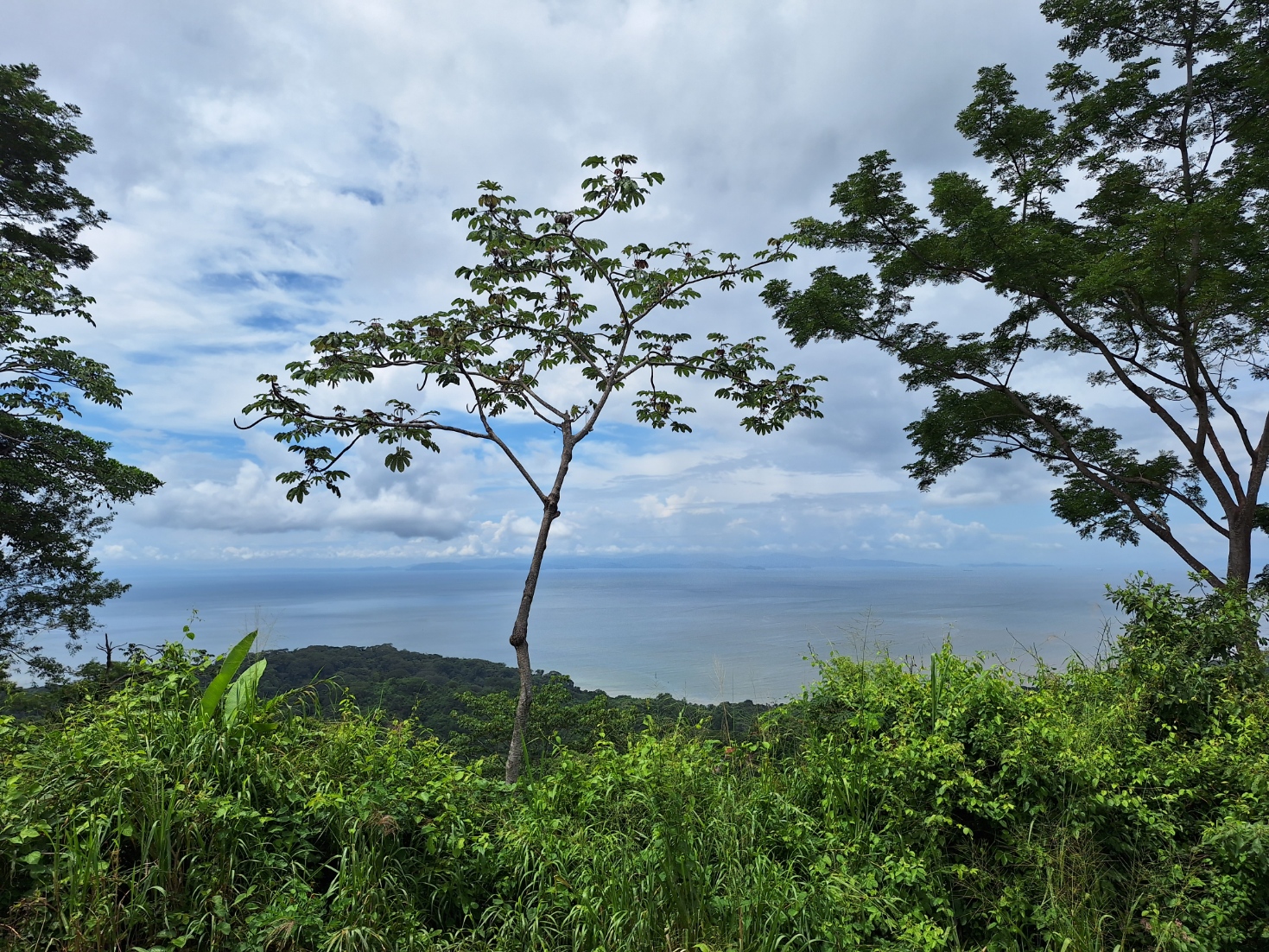 0 bed Land For Sale in Tarcoles, Puntarenas - thumb 3