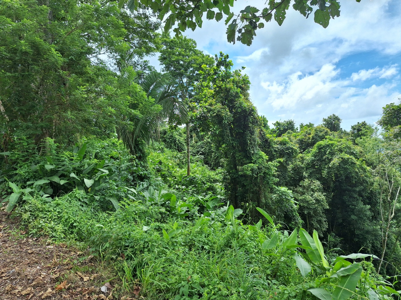 0 bed Land For Sale in Tarcoles, Puntarenas - thumb 4