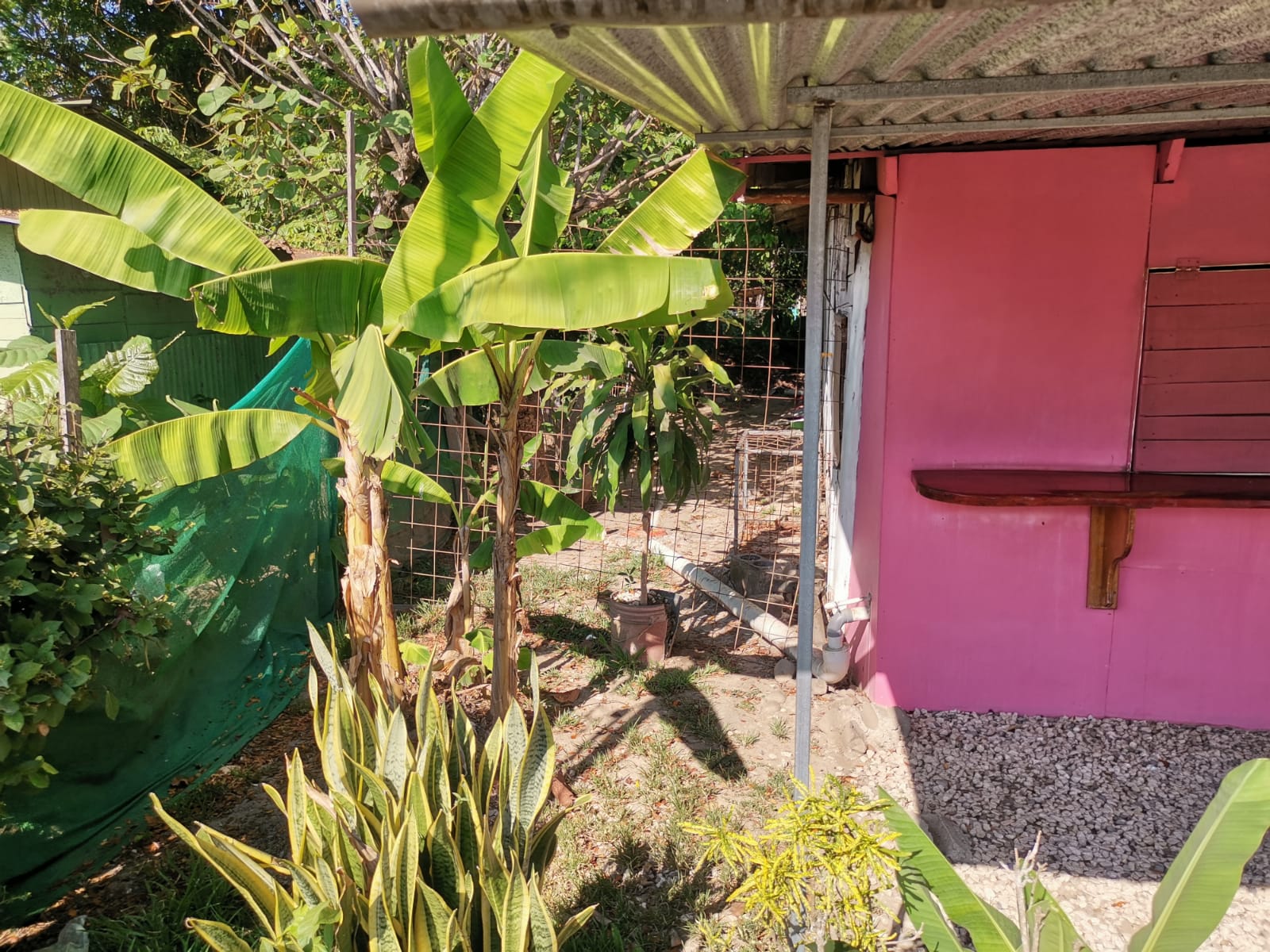 2 bed Commercial For Sale in Paquera, Puntarenas - thumb 10