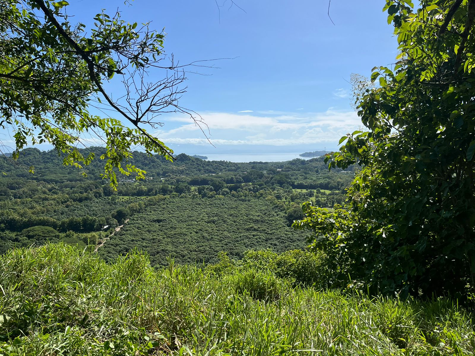 0 bed Land For Sale in Paquera, Puntarenas - thumb 5
