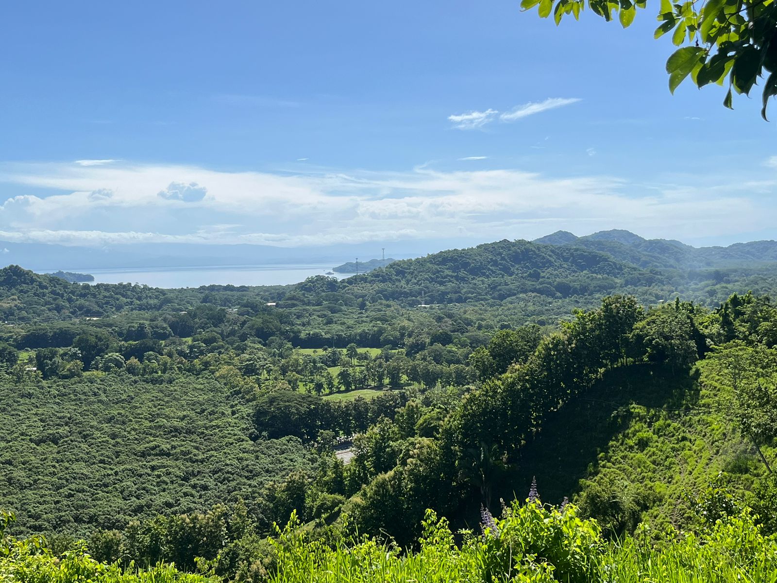 0 bed Land For Sale in Paquera, Puntarenas - thumb 4