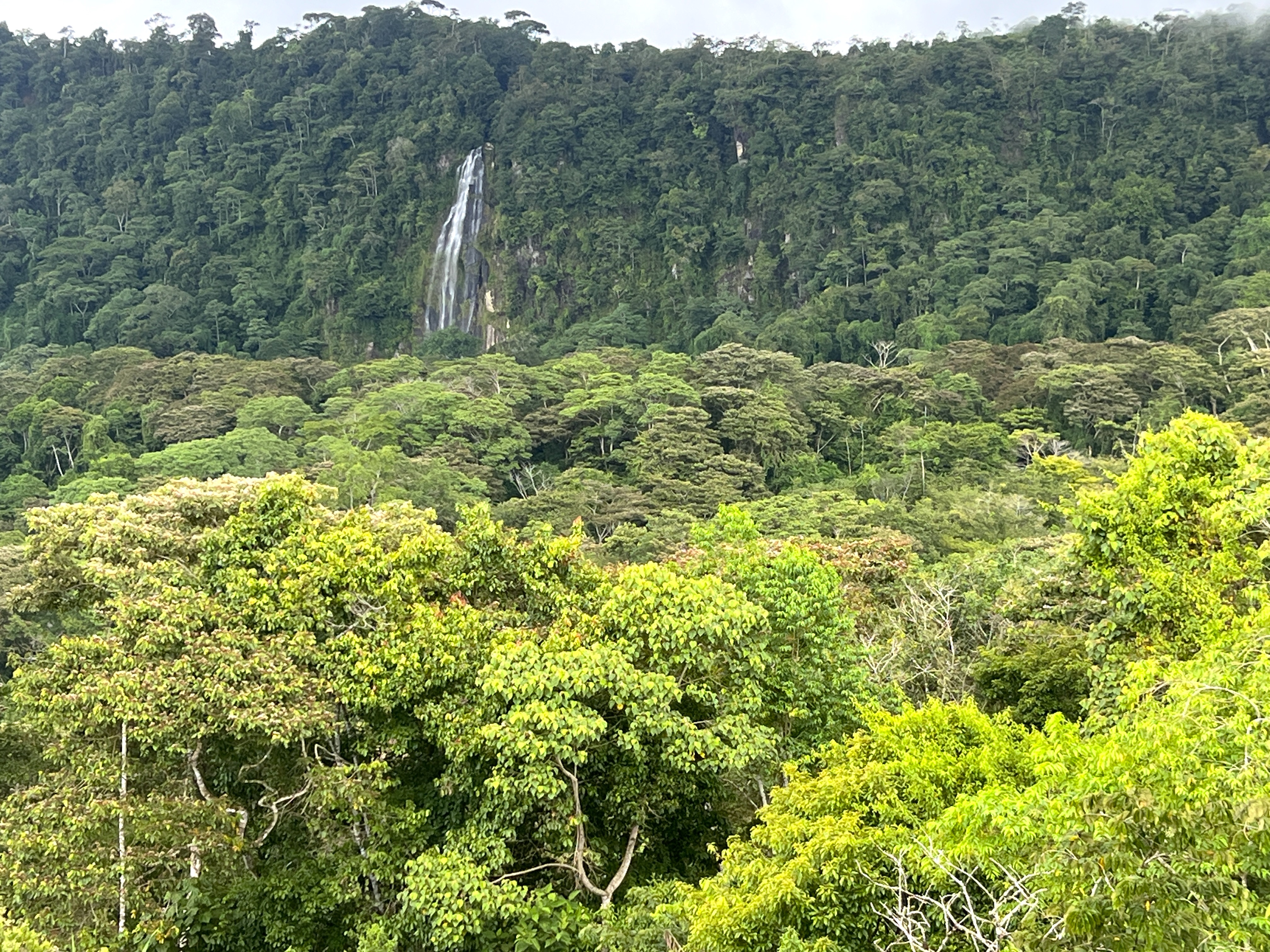 4 bed Land For Sale in Dominical, Puntarenas - thumb 8