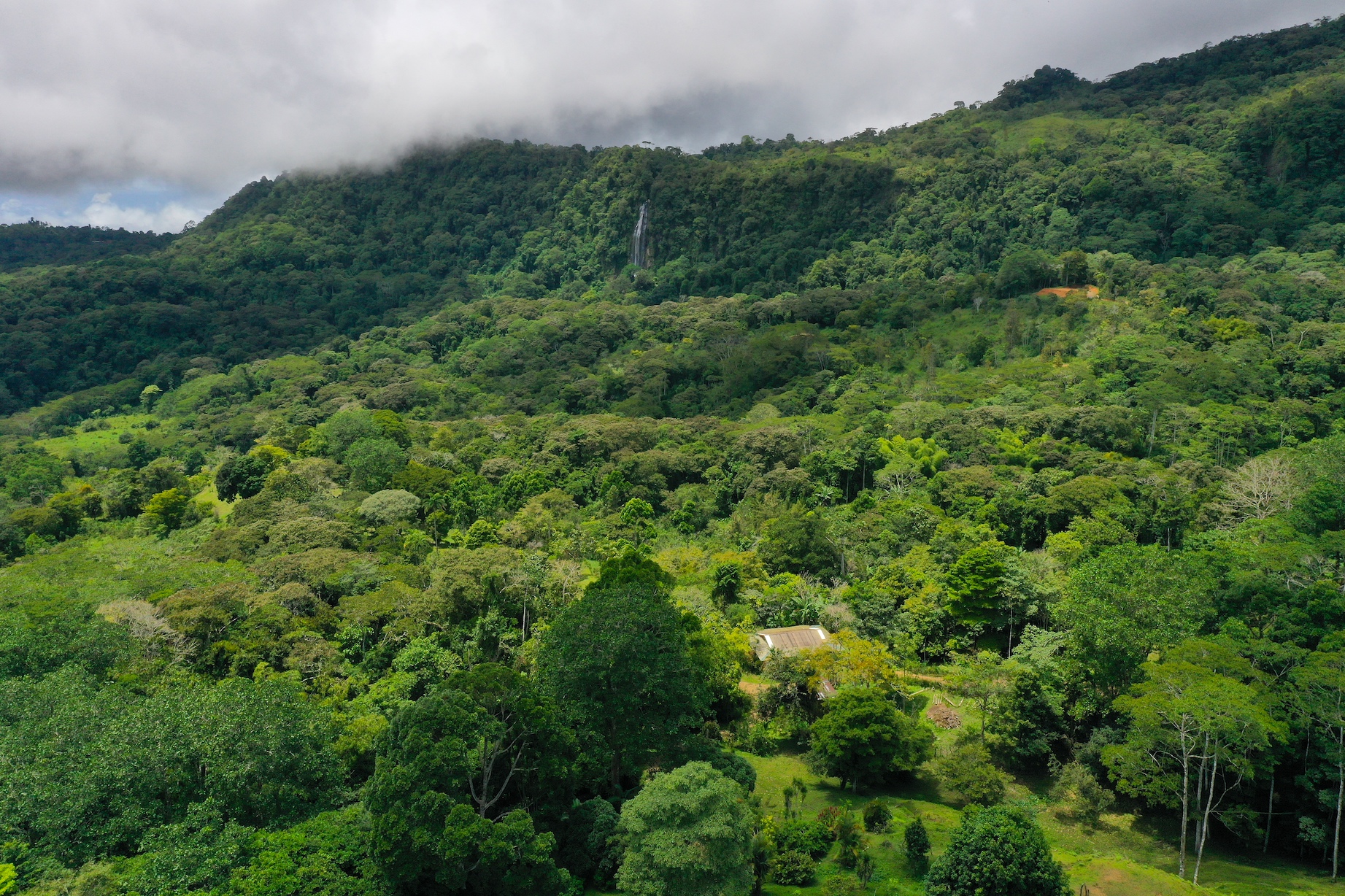 4 bed Land For Sale in Dominical, Puntarenas - thumb 9