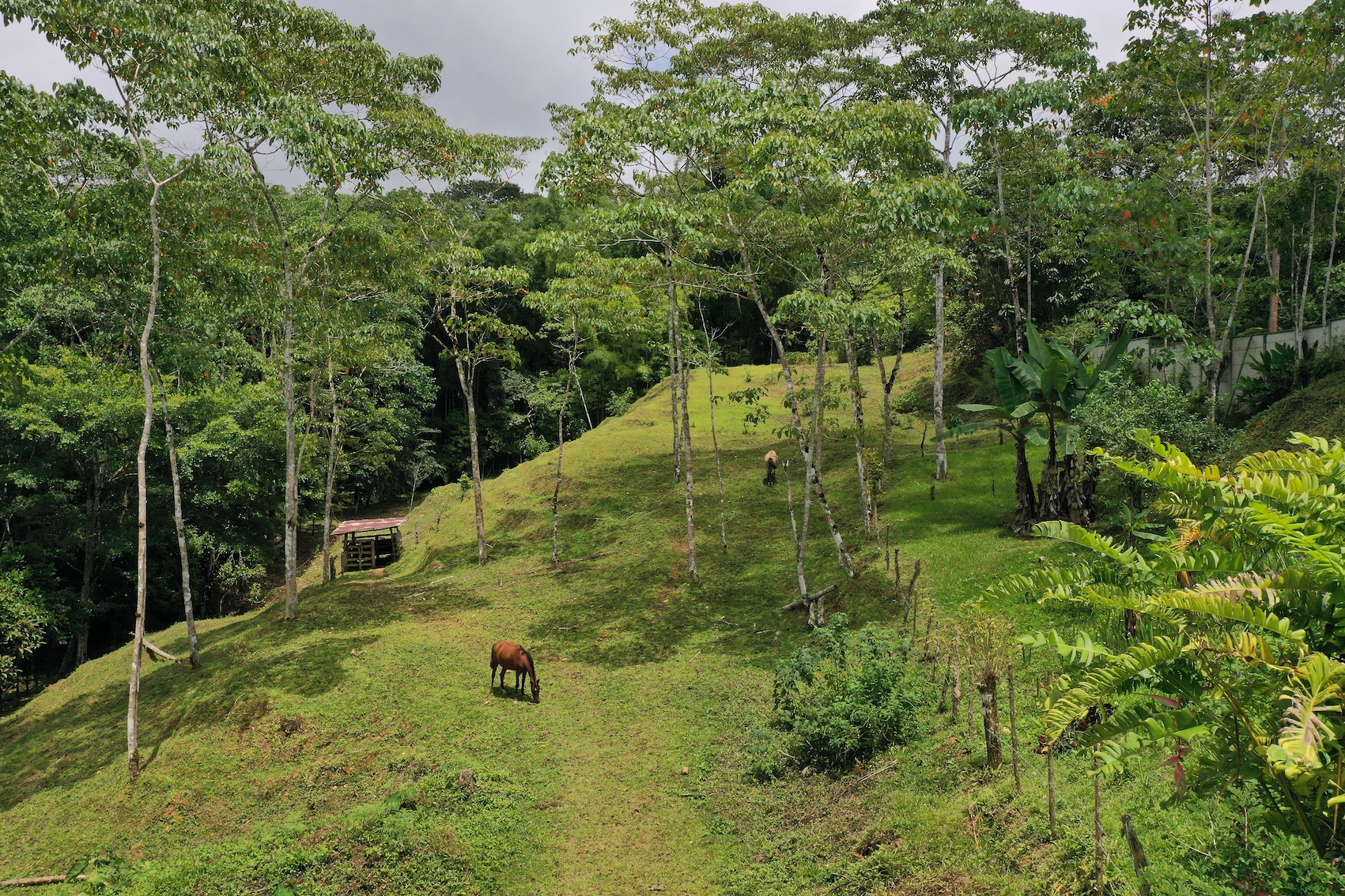 4 bed Land For Sale in Dominical, Puntarenas - thumb 3