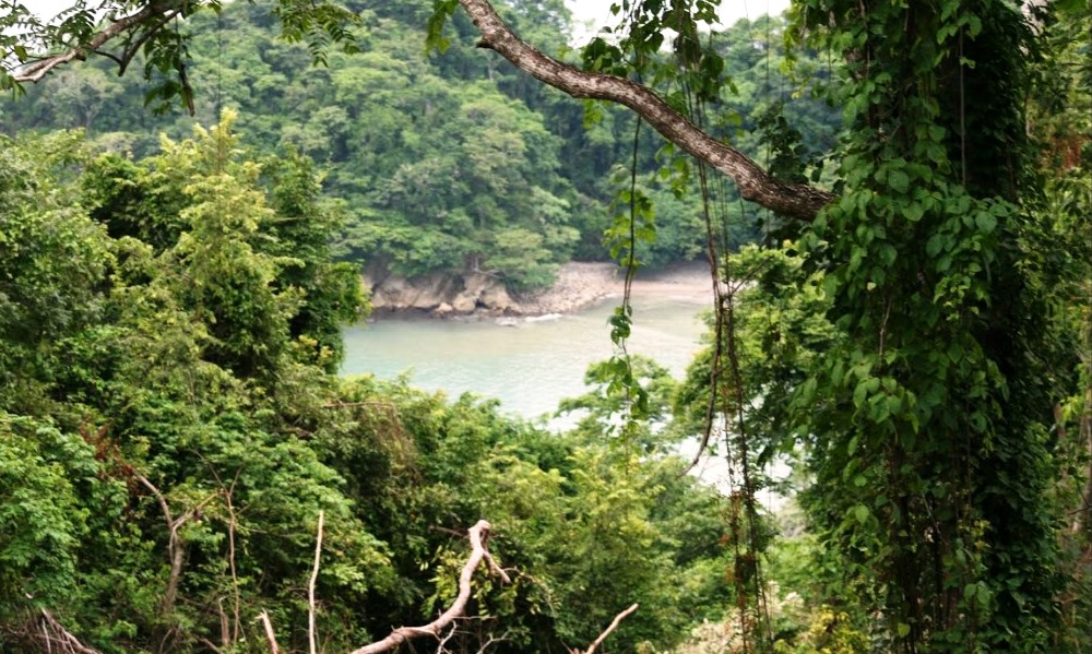 0 bed Land For Sale in Paquera, Puntarenas - thumb 3