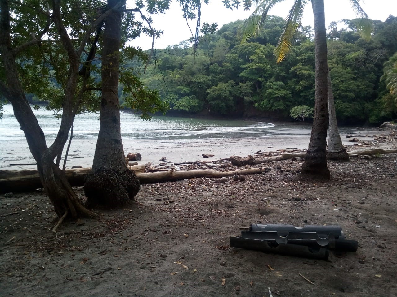 0 bed Land For Sale in Paquera, Puntarenas - thumb 4