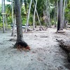  - 6.25 Acres On A Gulf Island - Two Beachfronts - All Services