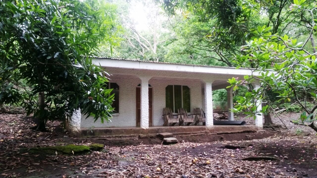 0 bed Land For Sale in Paquera, Puntarenas - thumb 5