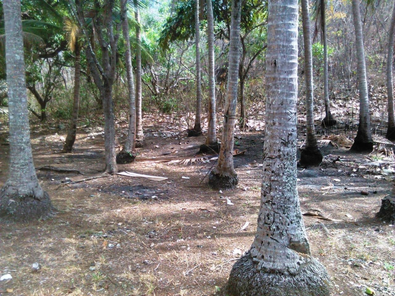 0 bed Land For Sale in Paquera, Puntarenas - thumb 10