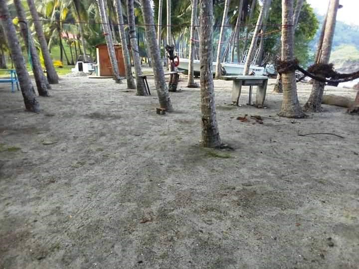 0 bed Land For Sale in Paquera, Puntarenas - thumb 2