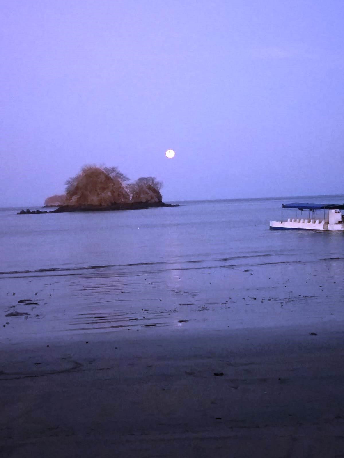 0 bed Land For Sale in Paquera, Puntarenas - thumb 14