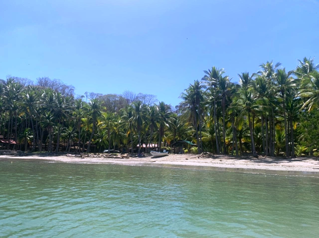 0 bed Land For Sale in Paquera, Puntarenas - thumb 1