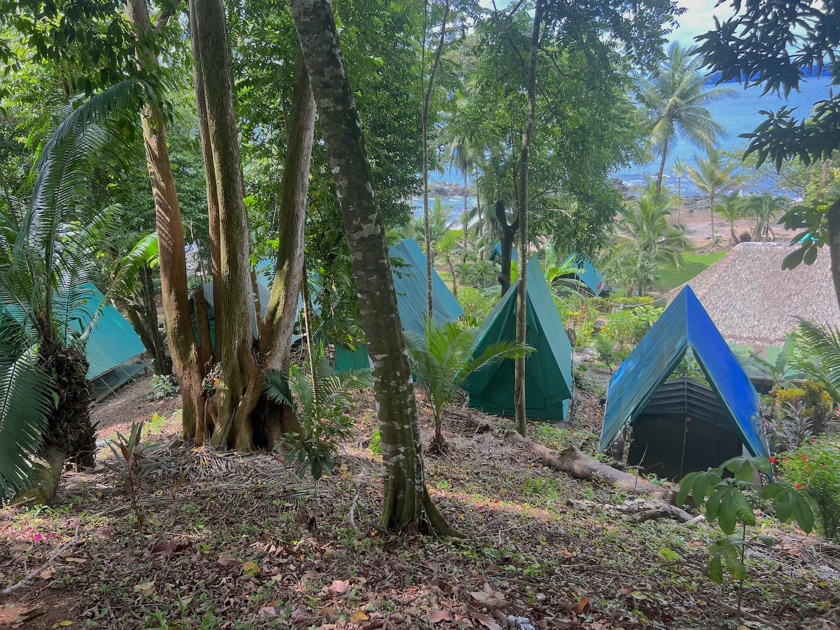 28 bed Hotel / Leisure For Sale in Drake Bay, Puntarenas - thumb 10