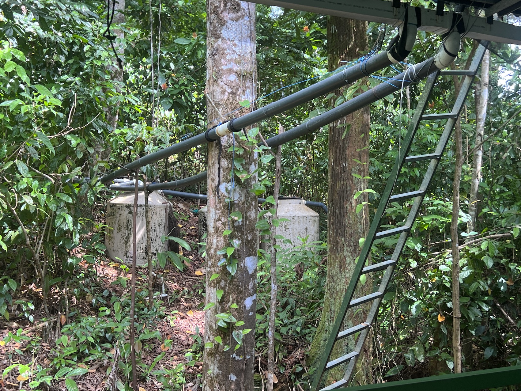 28 bed Hotel / Leisure For Sale in Drake Bay, Puntarenas - thumb 30