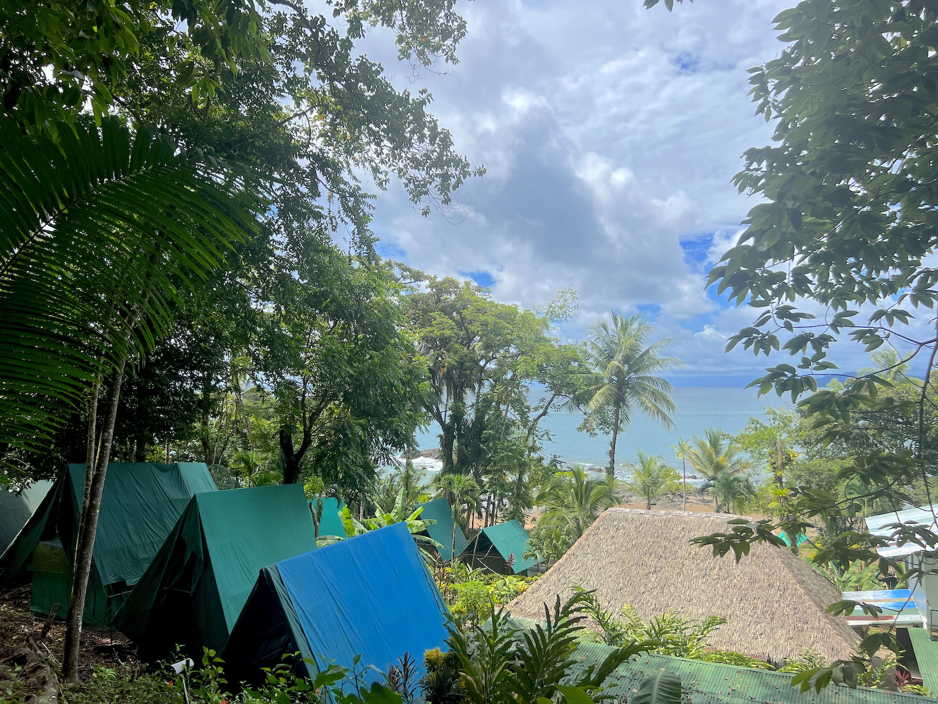 28 bed Hotel / Leisure For Sale in Drake Bay, Puntarenas - thumb 6