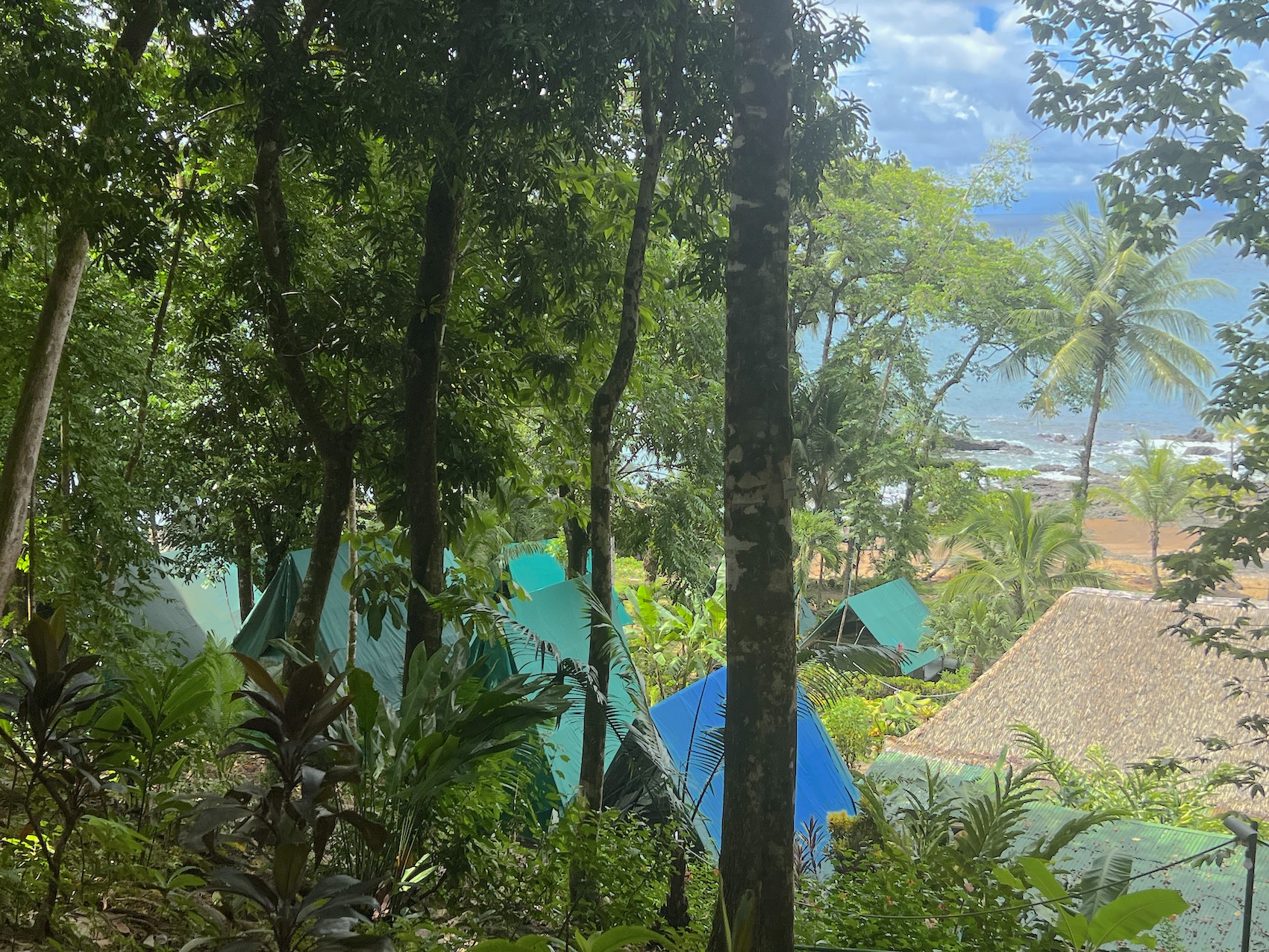 28 bed Hotel / Leisure For Sale in Drake Bay, Puntarenas - thumb 16