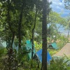  - Corcovado Tent Camp