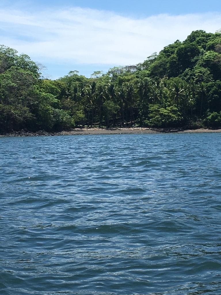 0 bed Land For Sale in Paquera, Puntarenas - thumb 7
