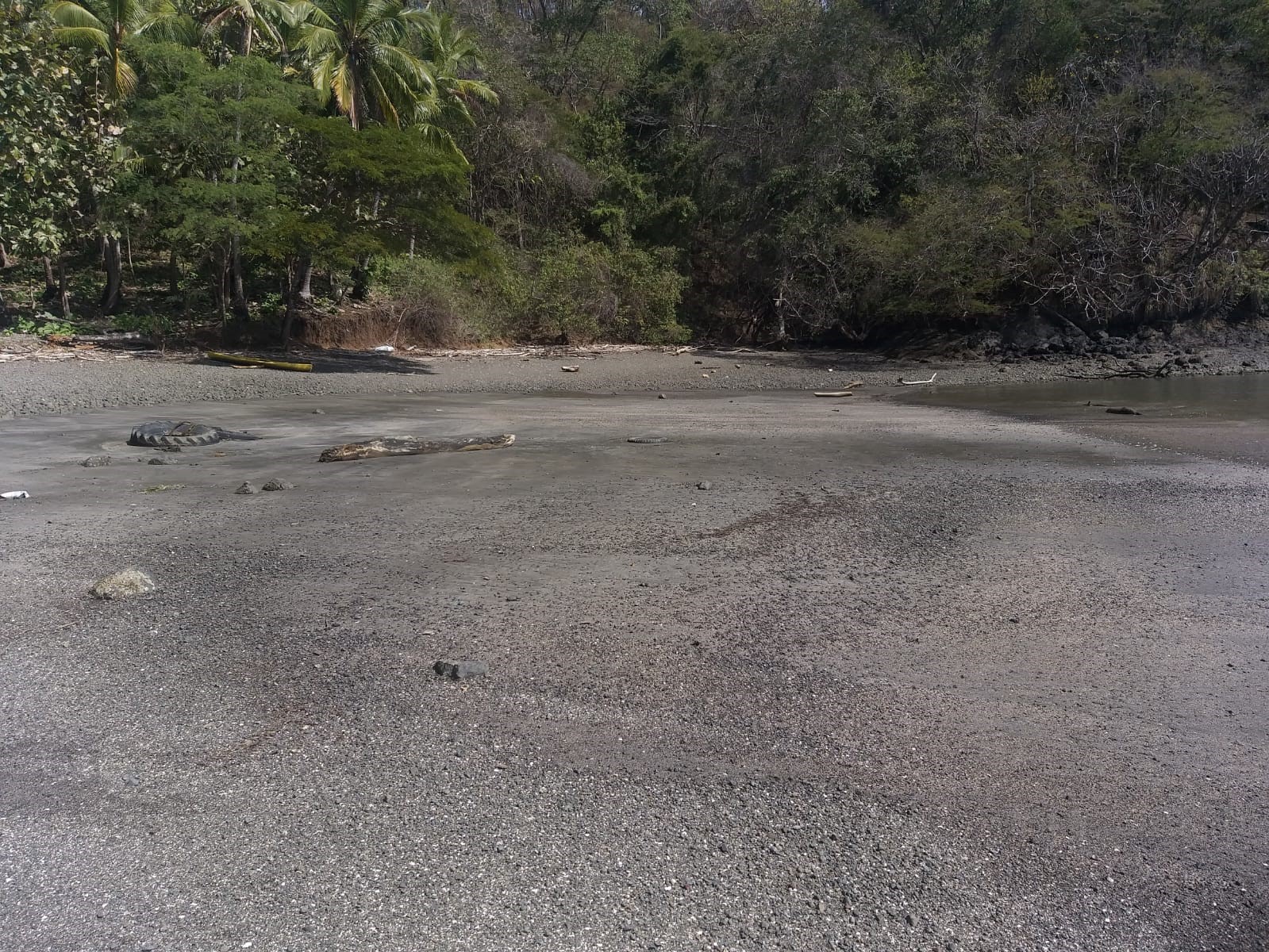 0 bed Land For Sale in Paquera, Puntarenas - thumb 2