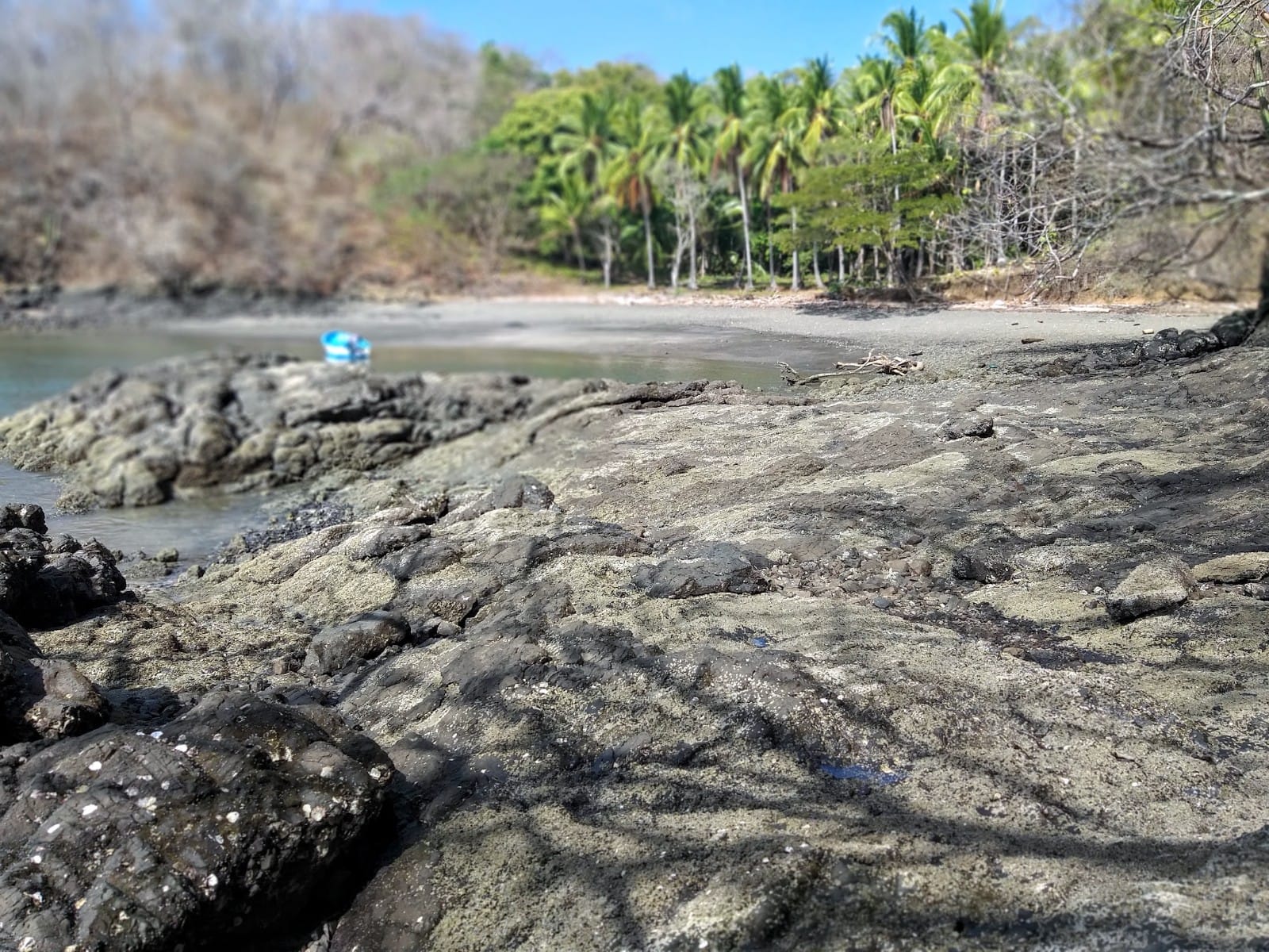 0 bed Land For Sale in Paquera, Puntarenas - thumb 1