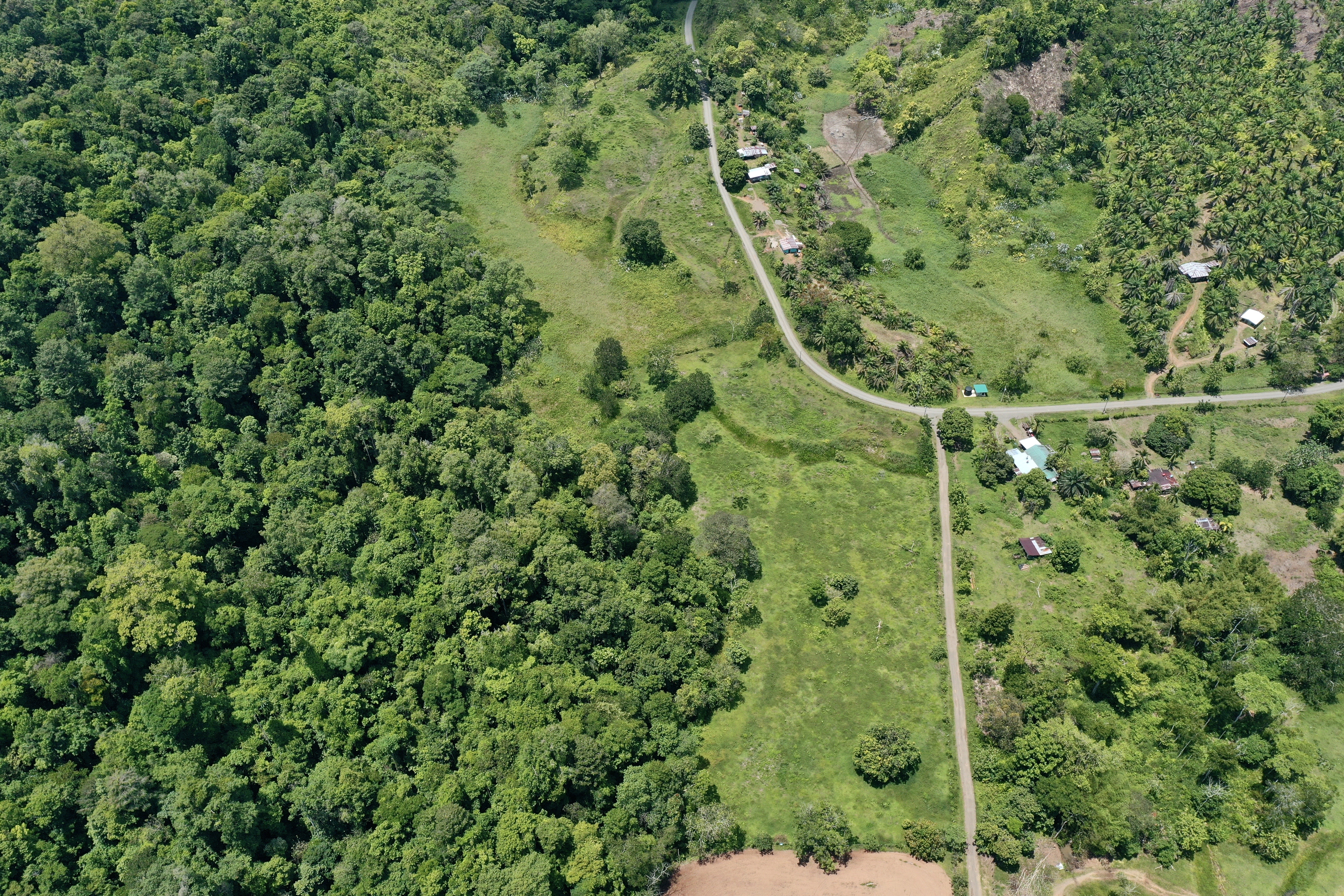 0 bed Land For Sale in Puerto Jimenez, Puntarenas - thumb 7