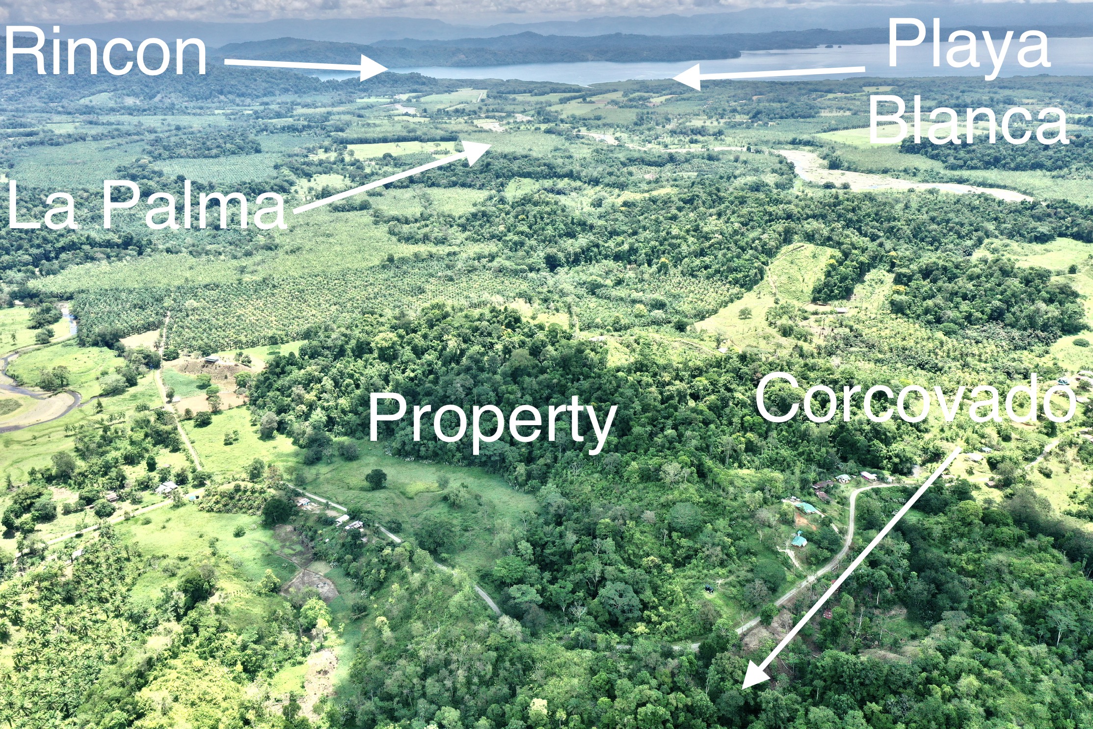 0 bed Land For Sale in Puerto Jimenez, Puntarenas - thumb 1