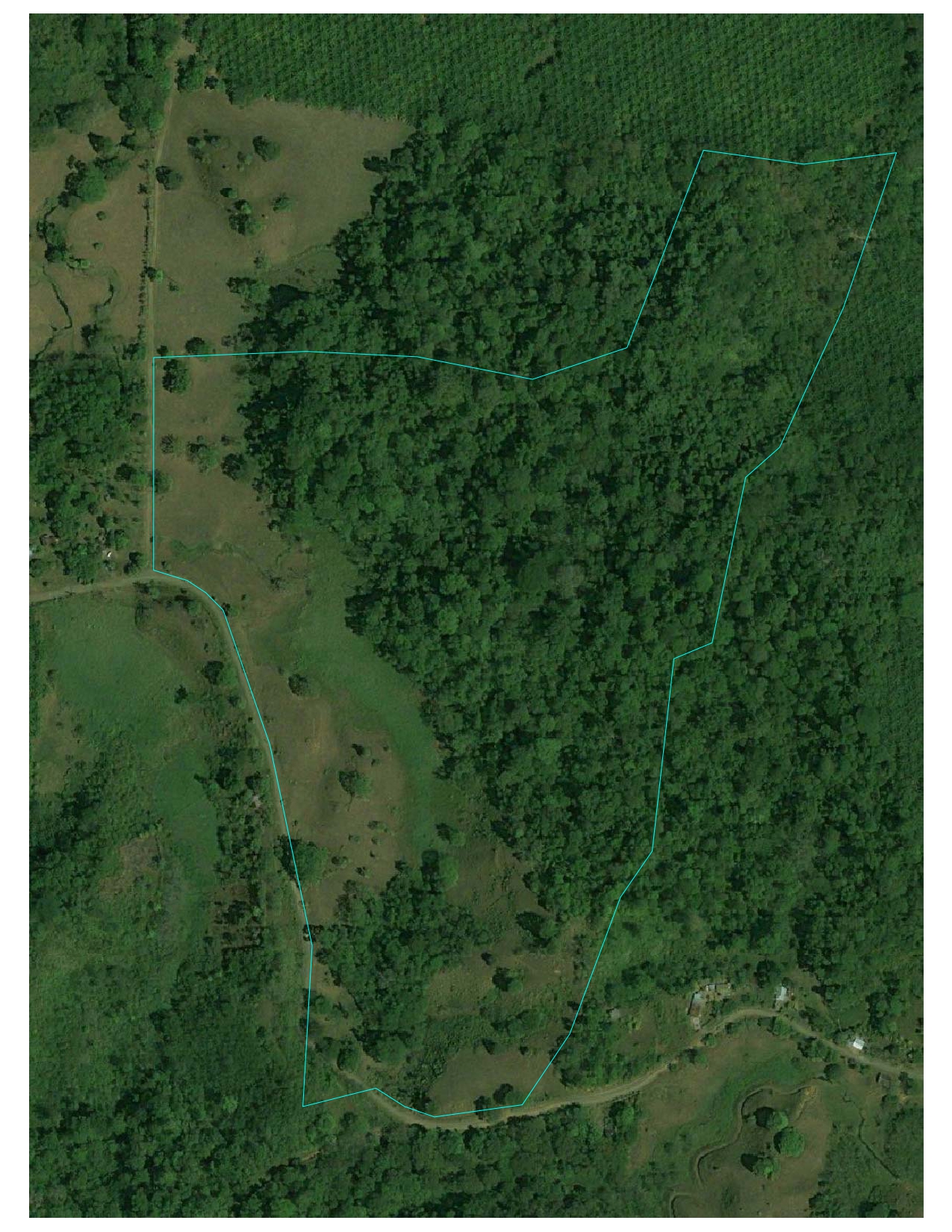 0 bed Land For Sale in Puerto Jimenez, Puntarenas - thumb 3