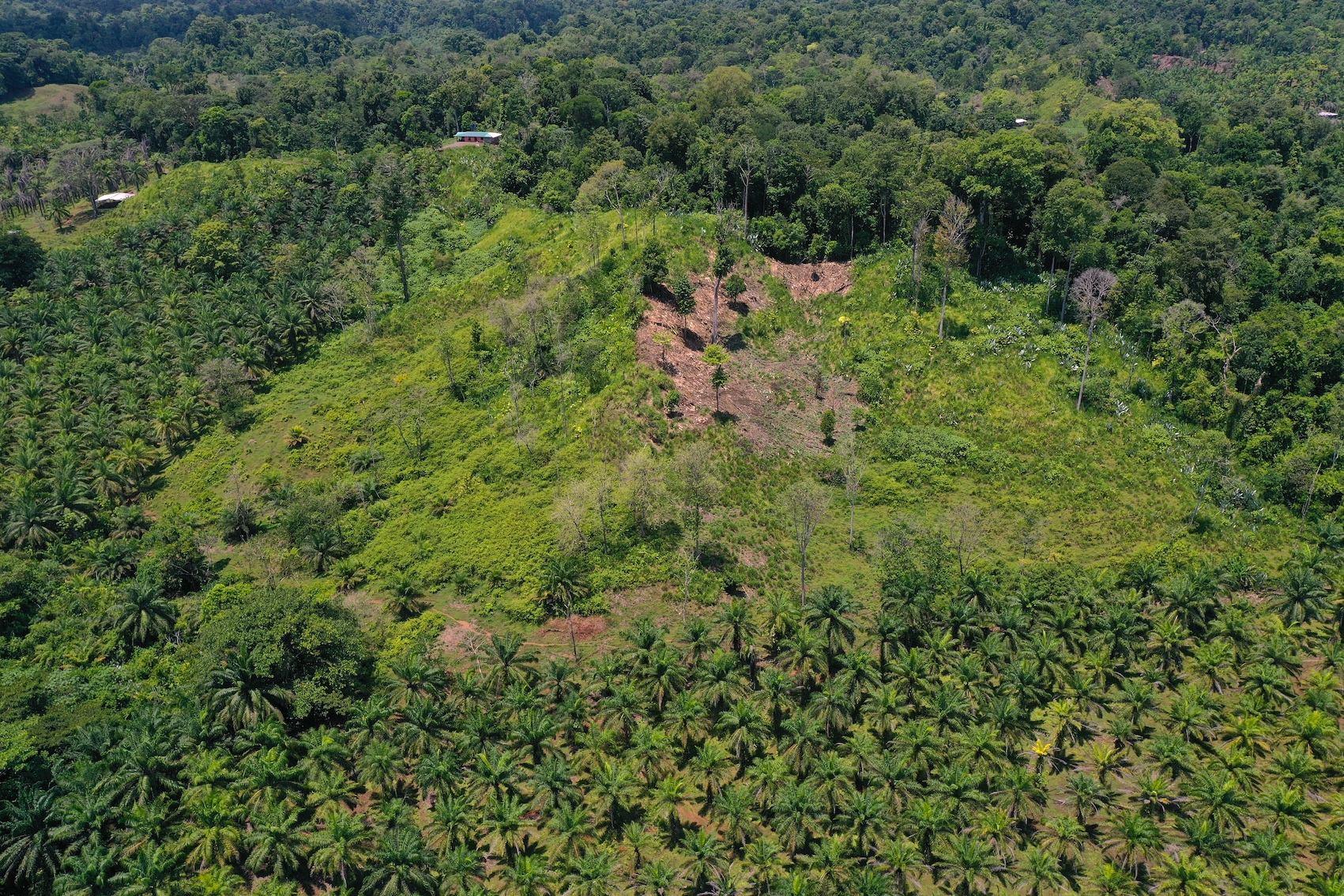 0 bed Land For Sale in Puerto Jimenez, Puntarenas - thumb 9