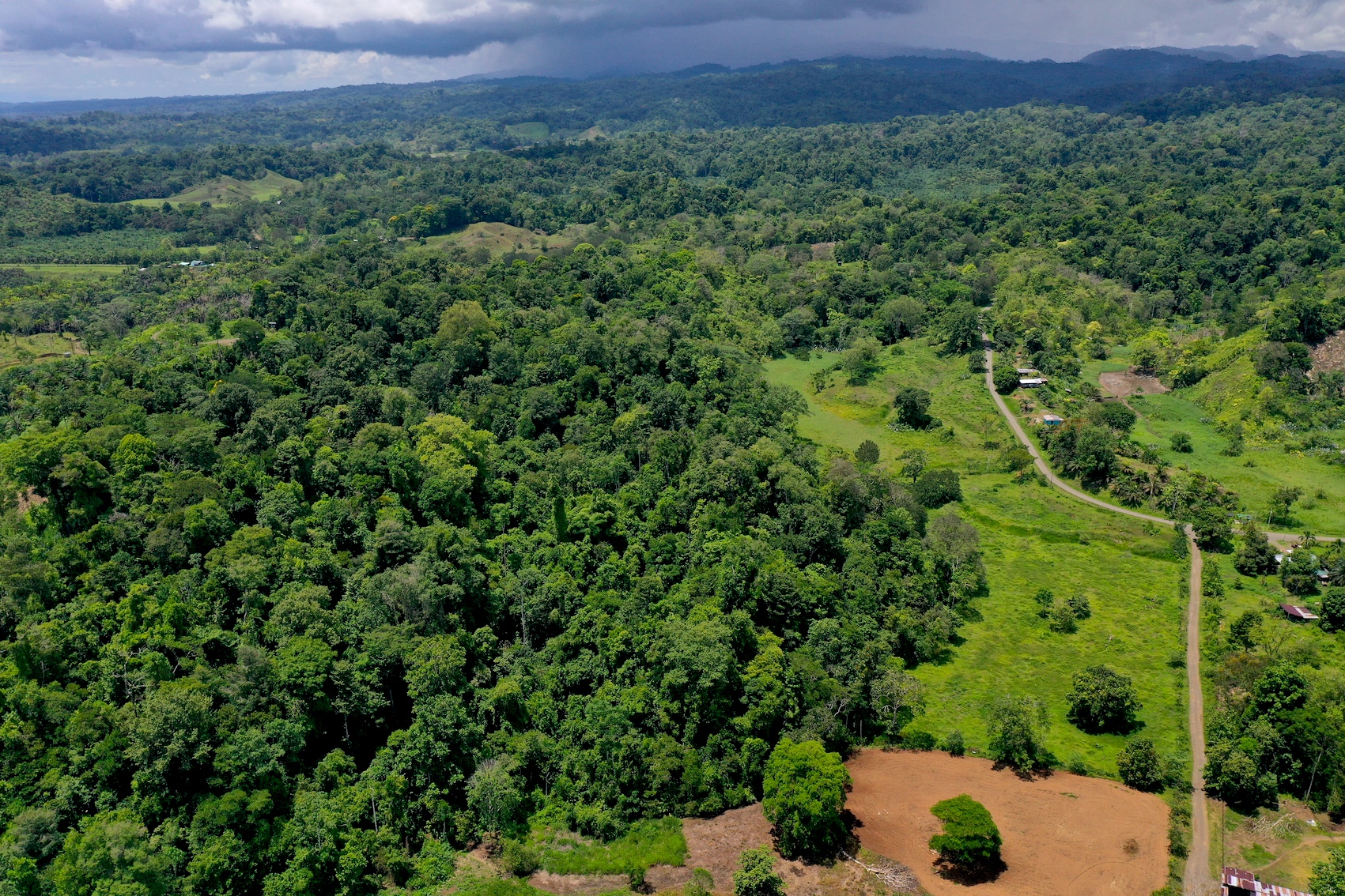 0 bed Land For Sale in Puerto Jimenez, Puntarenas - thumb 4