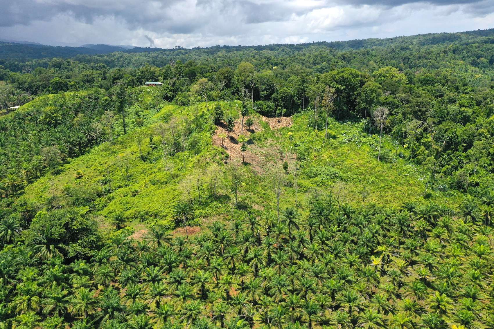 0 bed Land For Sale in Puerto Jimenez, Puntarenas - thumb 6