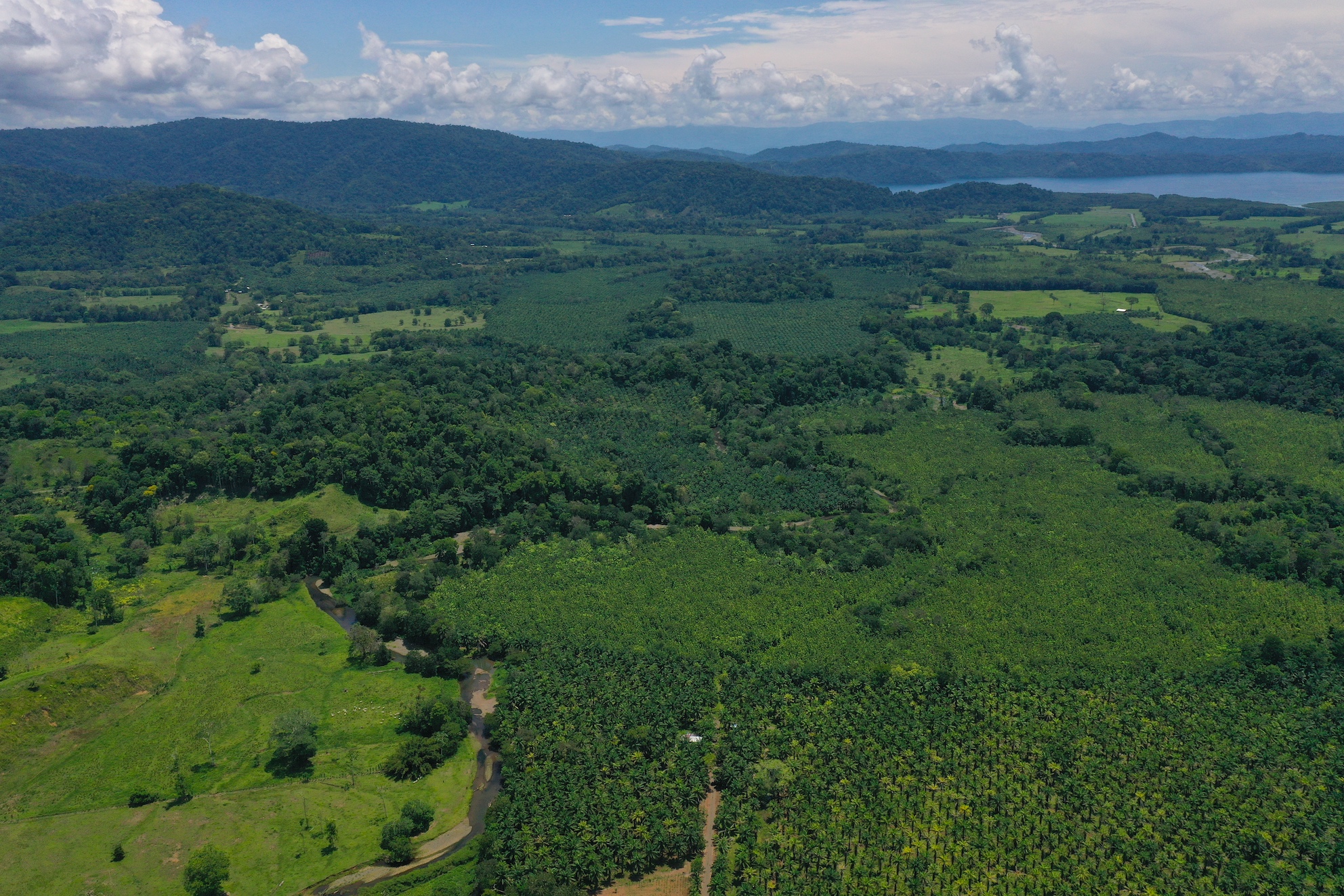 0 bed Land For Sale in Puerto Jimenez, Puntarenas - thumb 2