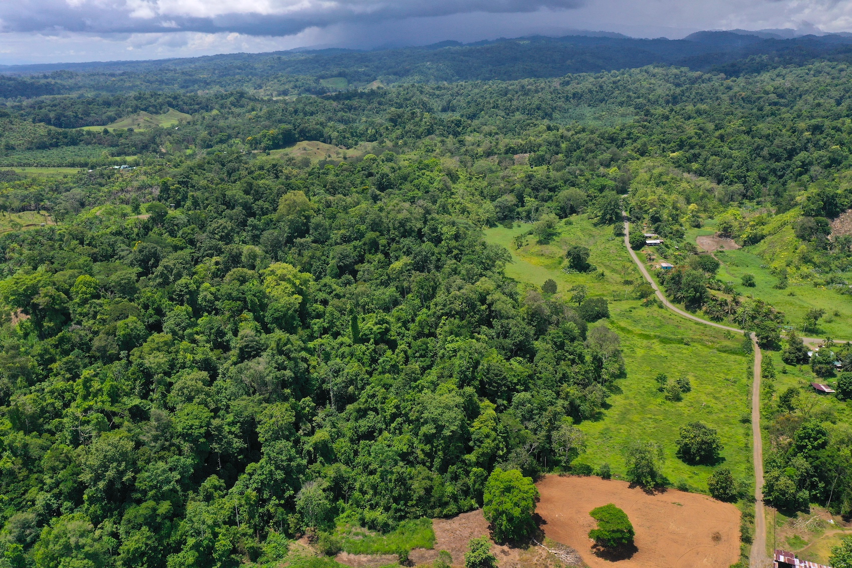 0 bed Land For Sale in Puerto Jimenez, Puntarenas - thumb 5