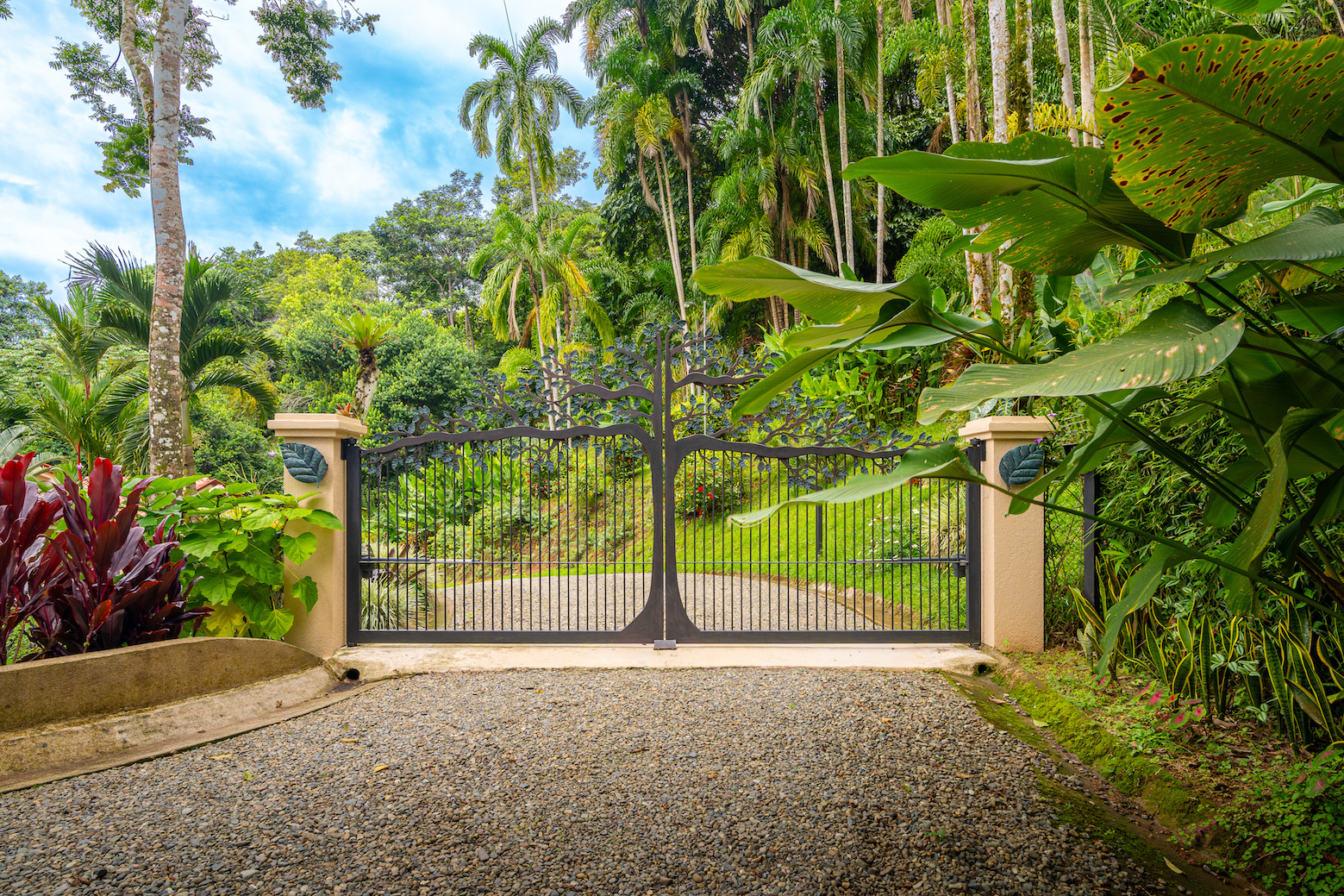 3 bed Single Family Homes For Sale in Perez Zeledon, San Jose - thumb 11