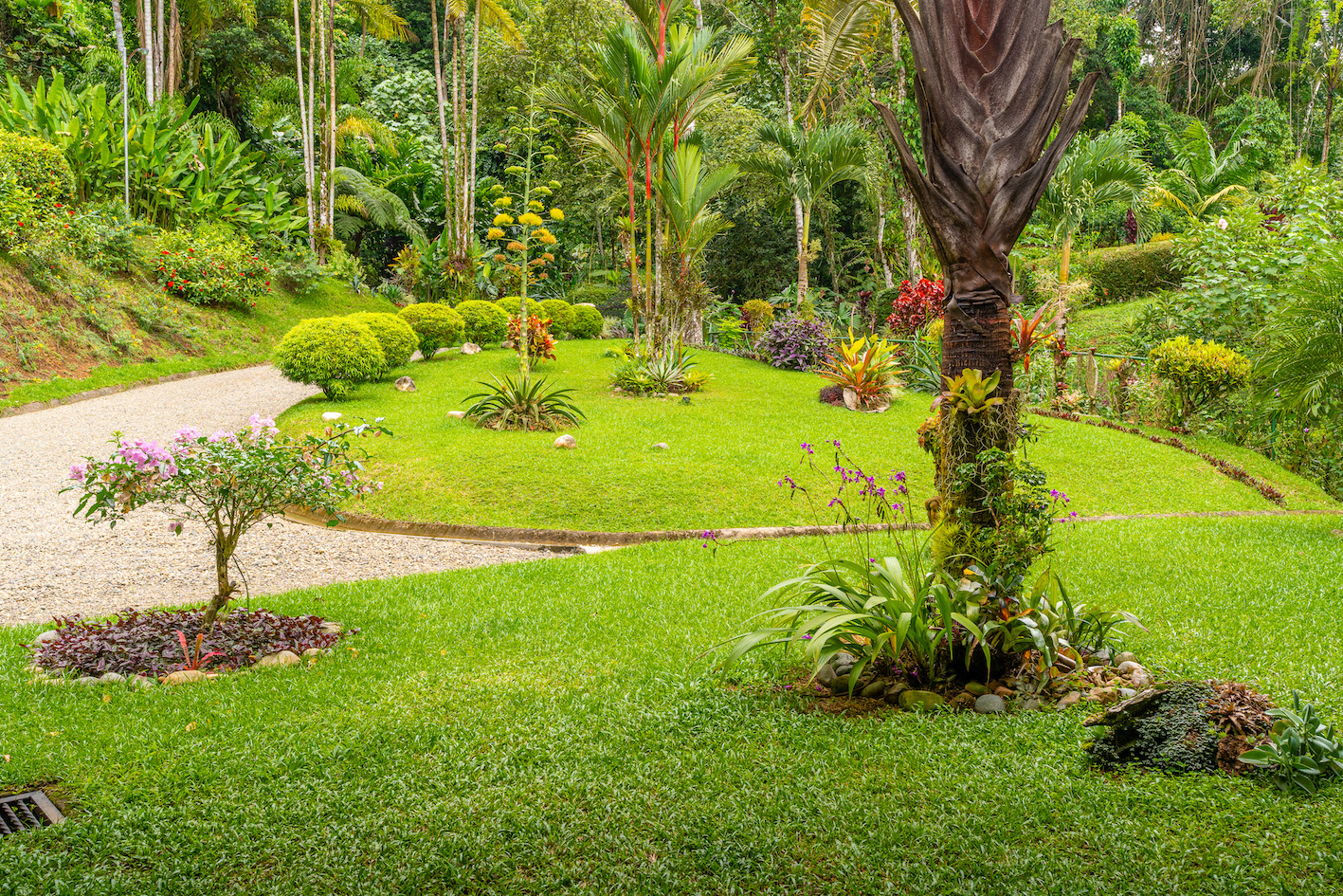 3 bed Single Family Homes For Sale in Perez Zeledon, San Jose - thumb 27