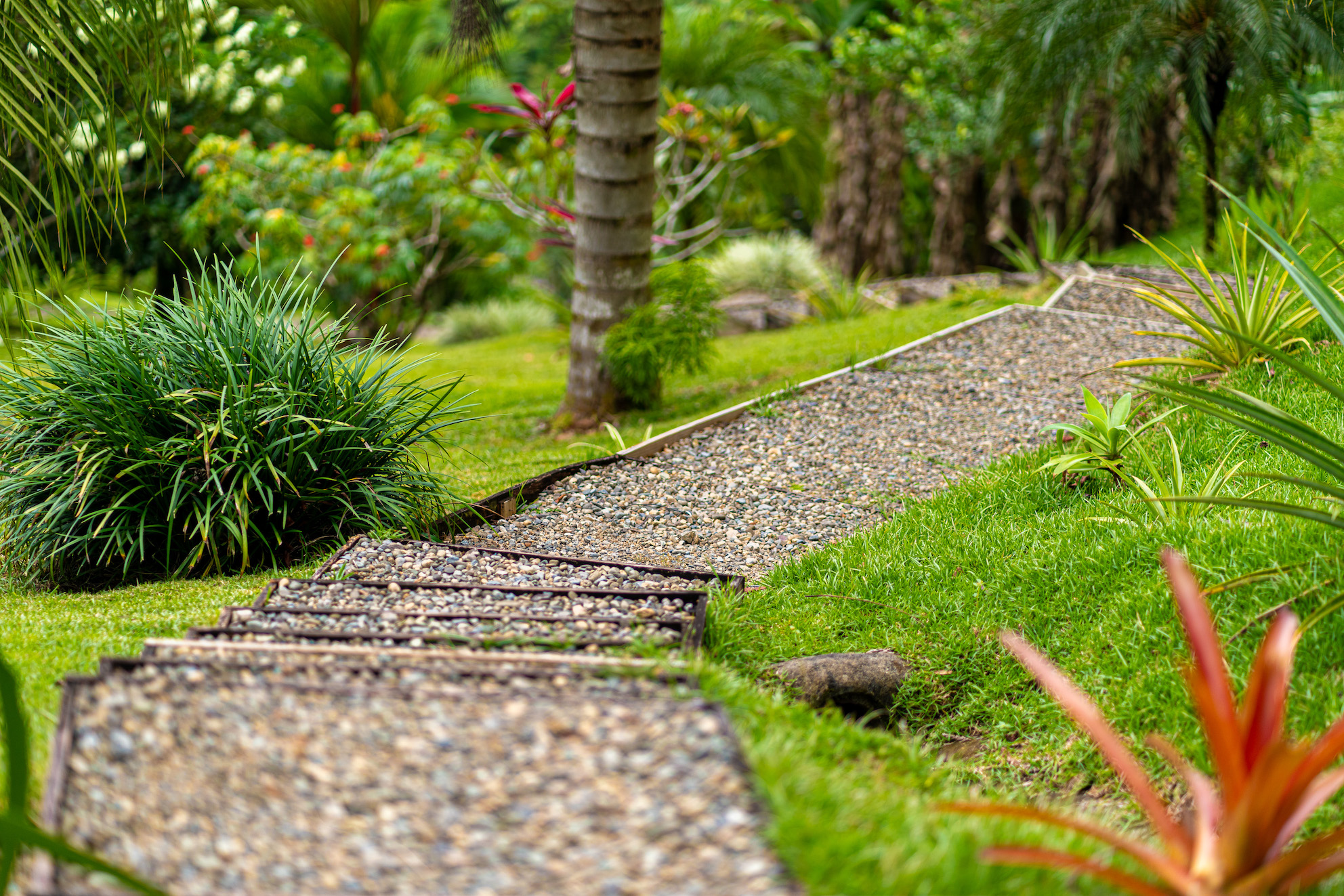 3 bed Single Family Homes For Sale in Perez Zeledon, San Jose - thumb 25