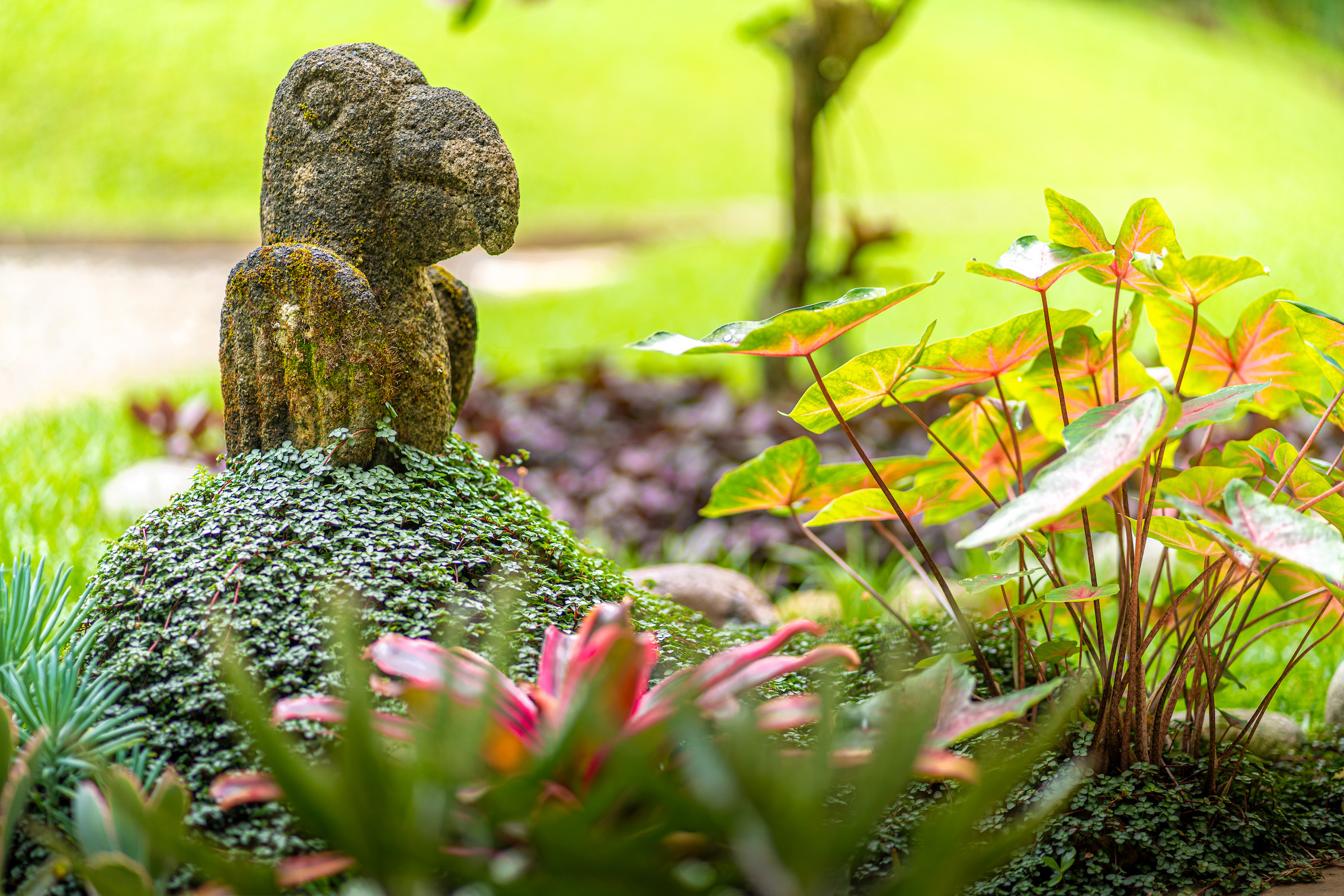 3 bed Single Family Homes For Sale in Perez Zeledon, San Jose - thumb 24