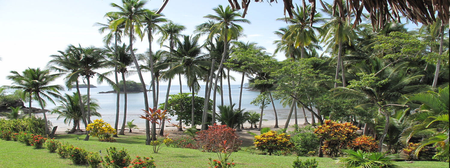 6 bed Single Family Homes For Sale in Paquera, Puntarenas - thumb 4