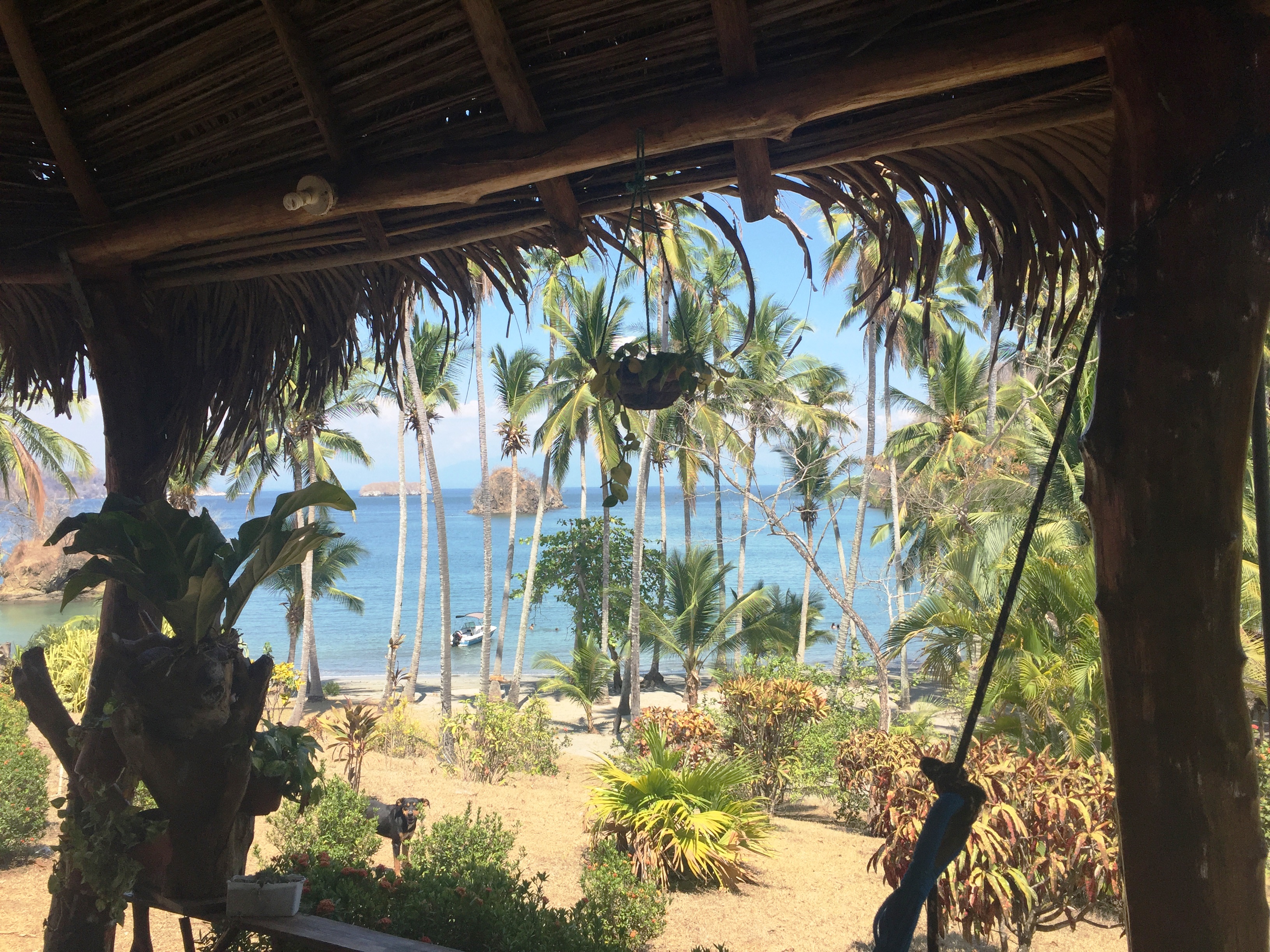 6 bed Single Family Homes For Sale in Paquera, Puntarenas - thumb 18