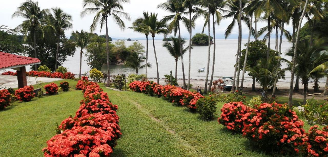 6 bed Single Family Homes For Sale in Paquera, Puntarenas - thumb 14